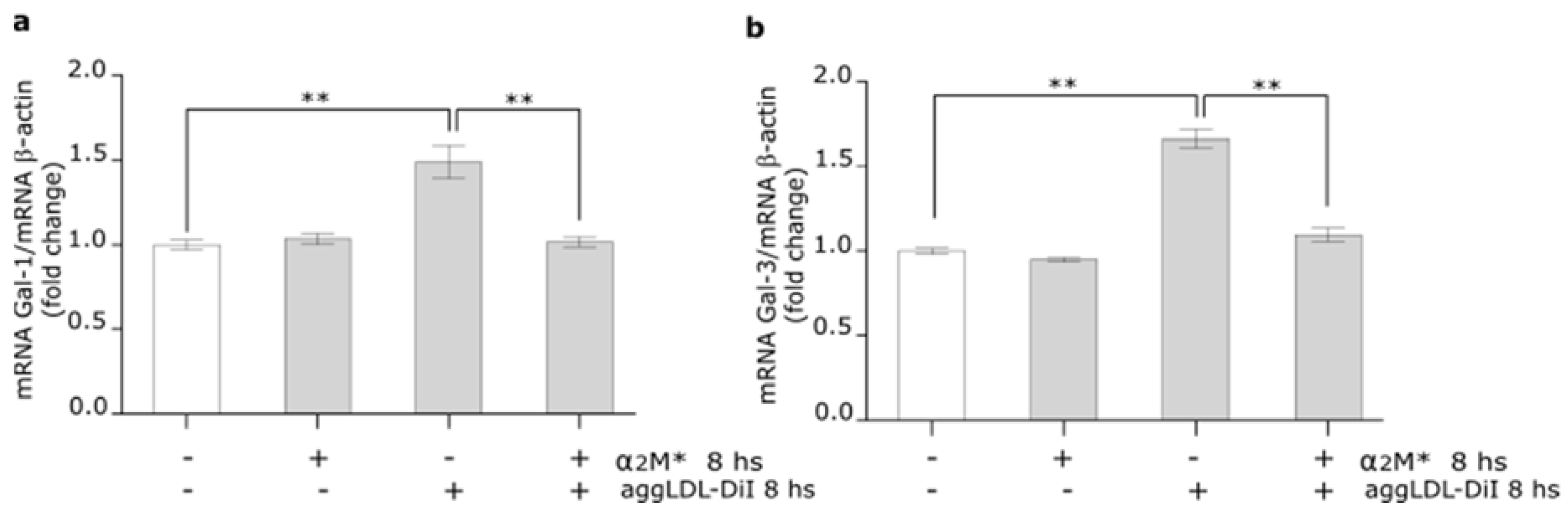 Ijms 22 06915 g007 Ijms 22 06915 g007