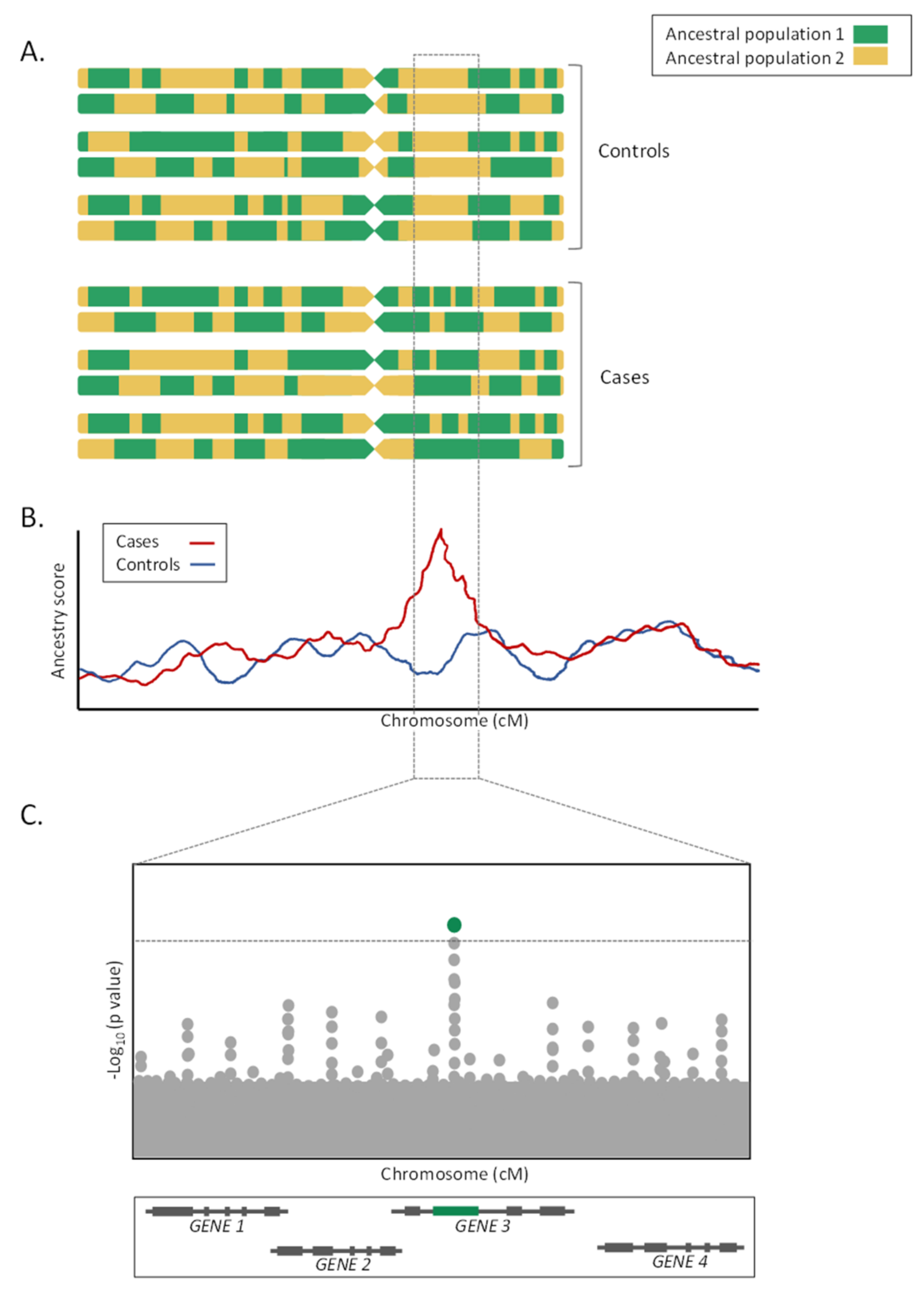 Ijms 22 06962 g002 Ijms 22 06962 g002