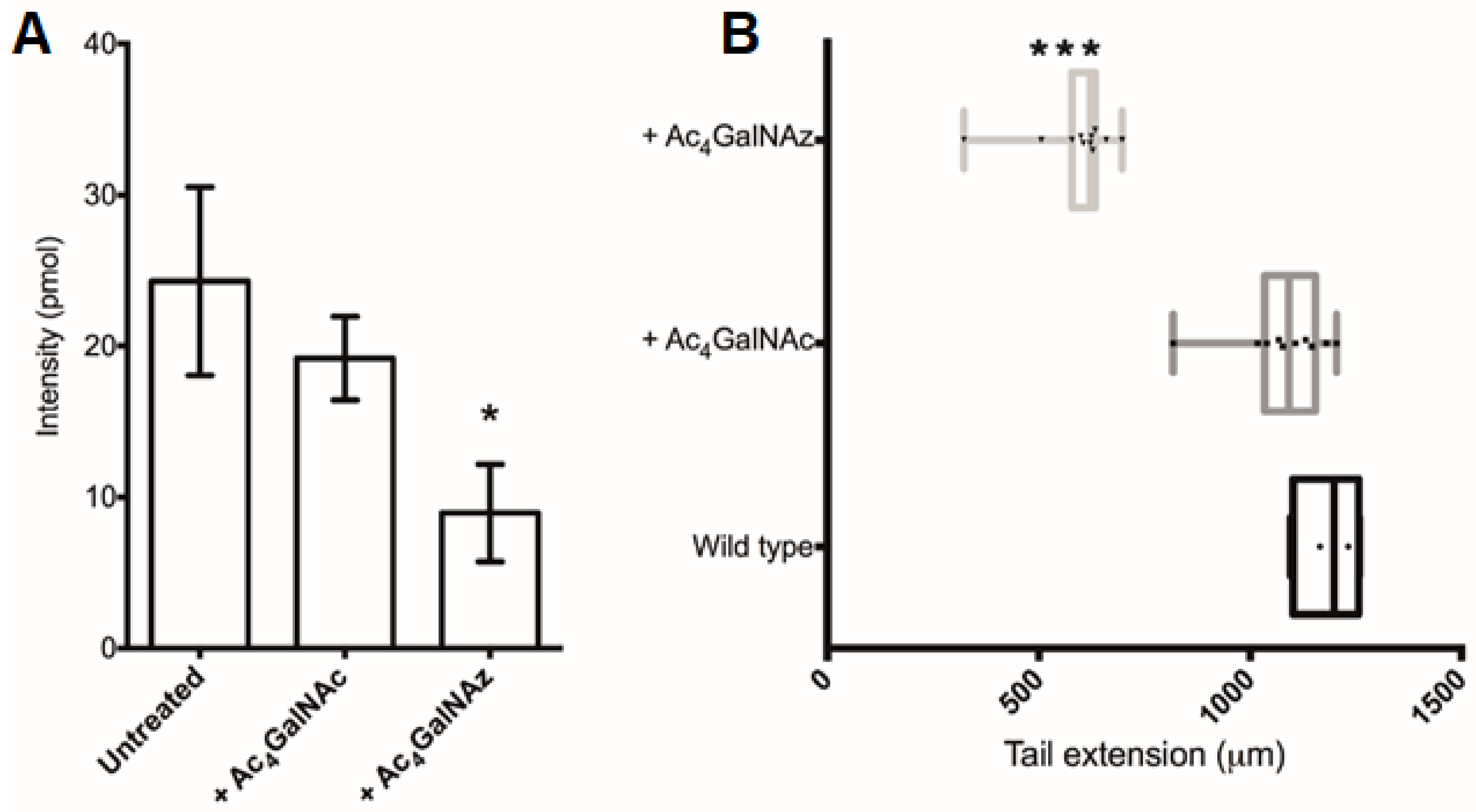 Ijms 22 06988 g006 Ijms 22 06988 g006