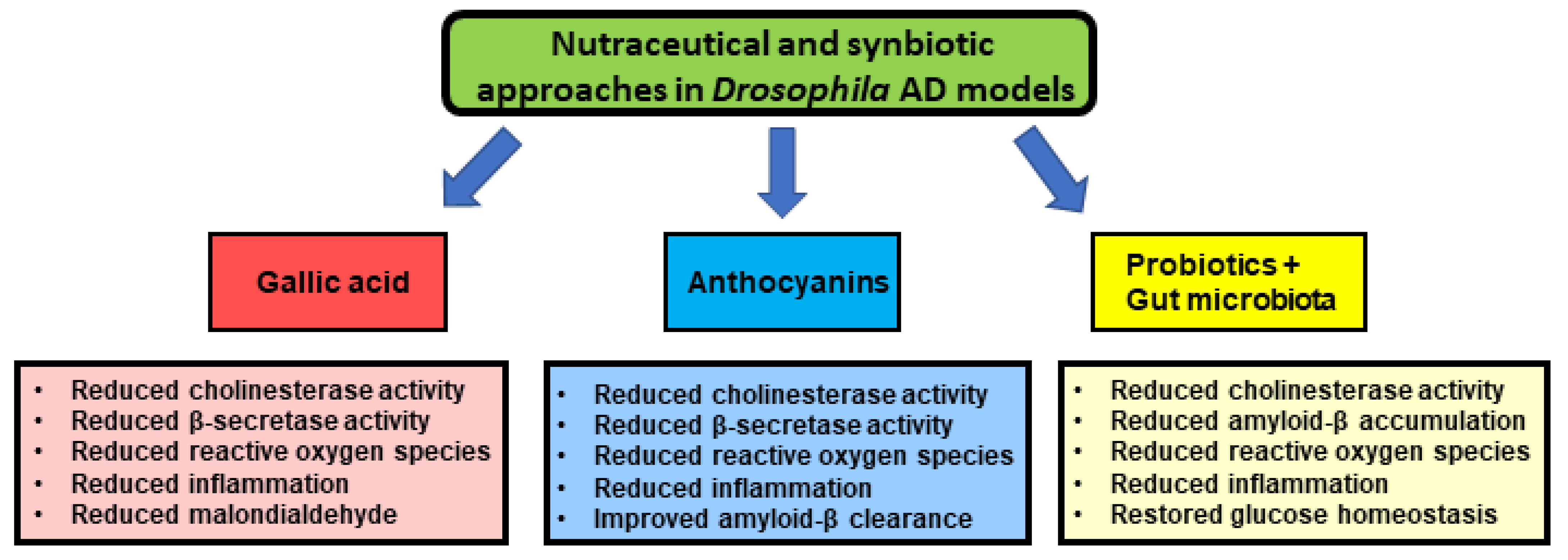 IJMS | Free Full-Text | Nutraceutical and Probiotic Approaches to Examine  Molecular Interactions of the Amyloid Precursor Protein APP in Drosophila  Models of Alzheimer's Disease | HTML