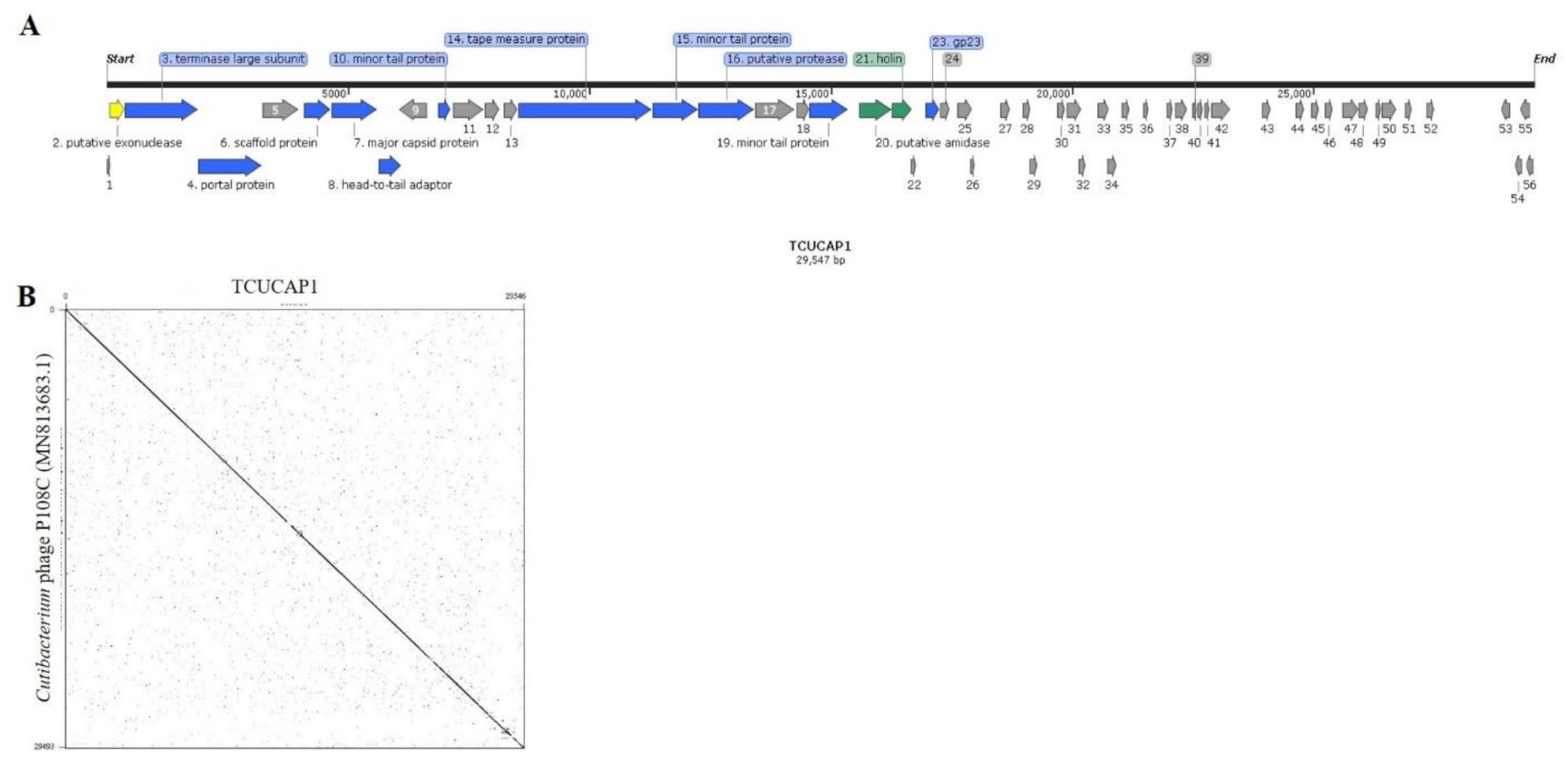 Ijms 22 07031 g002 Ijms 22 07031 g002