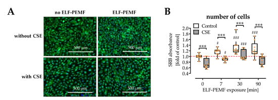 https://www.mdpi.com/ijms/ijms-22-07036/article_deploy/html/images/ijms-22-07036-g001-550.jpg