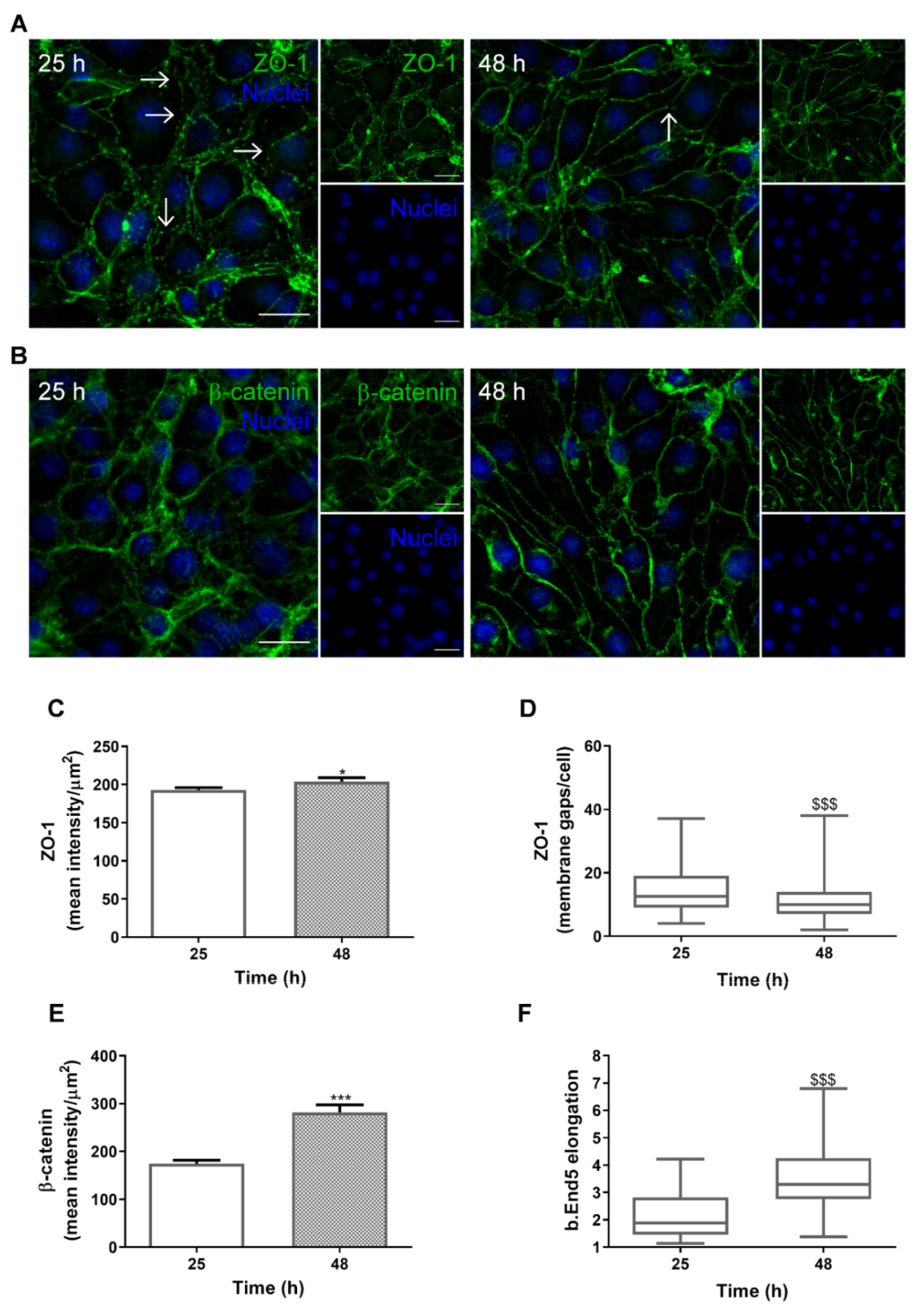 Ijms 22 07057 g001 Ijms 22 07057 g001