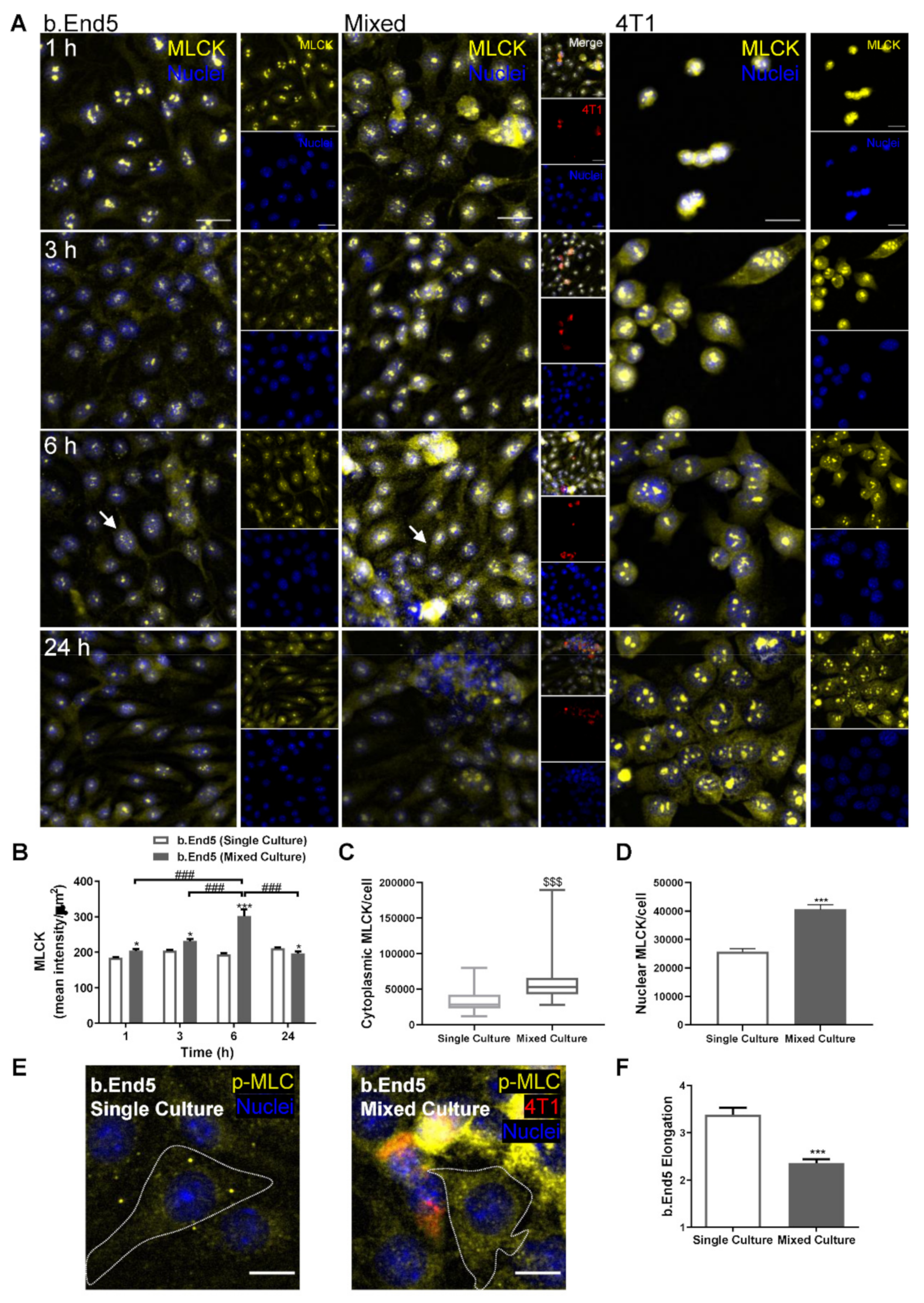 Ijms 22 07057 g006 Ijms 22 07057 g006