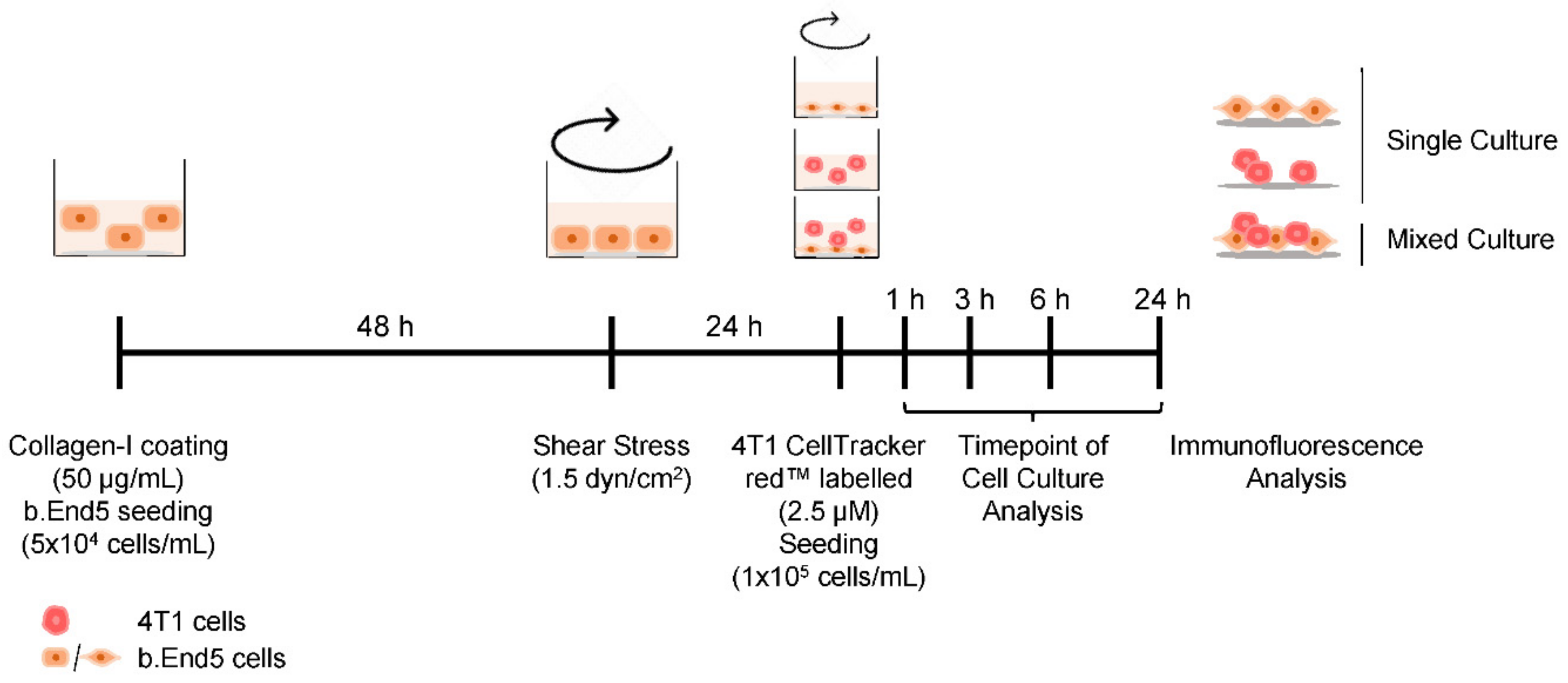 Ijms 22 07057 g009 Ijms 22 07057 g009