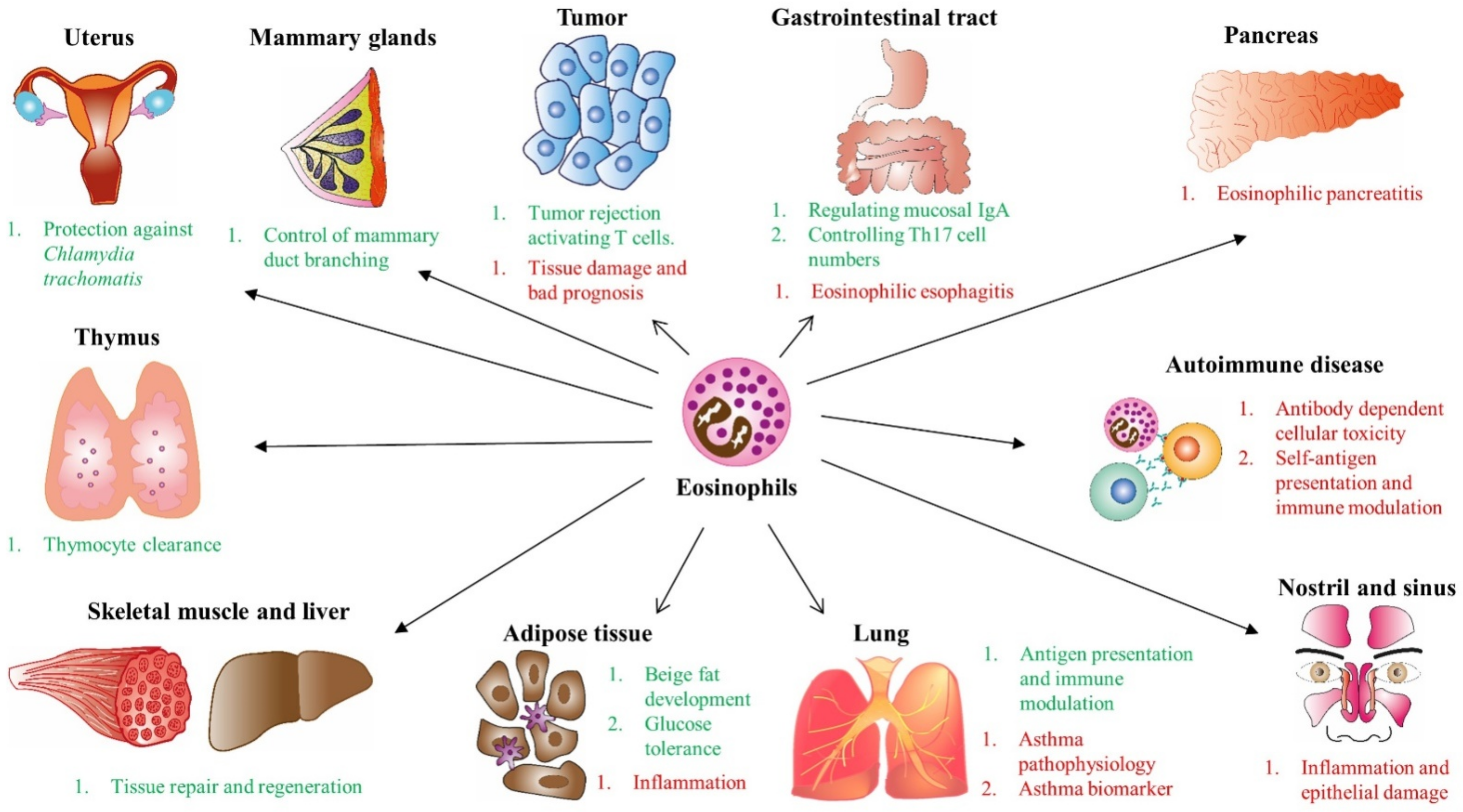 Ijms 22 07075 g003 Ijms 22 07075 g003