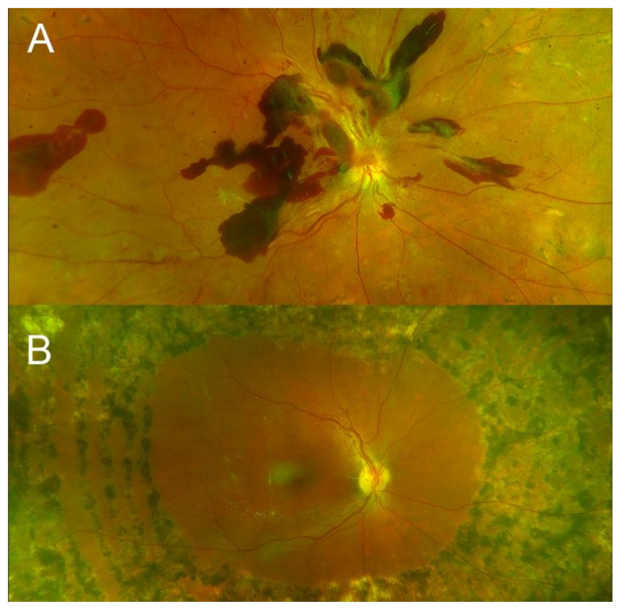 Ijms 22 07142 g002 Ijms 22 07142 g002