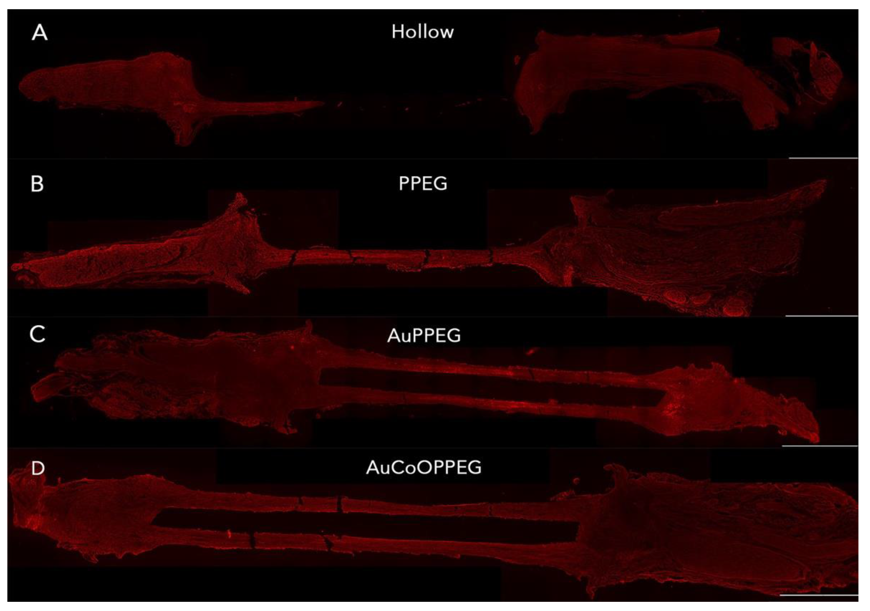 Ijms 22 07146 g002 Ijms 22 07146 g002