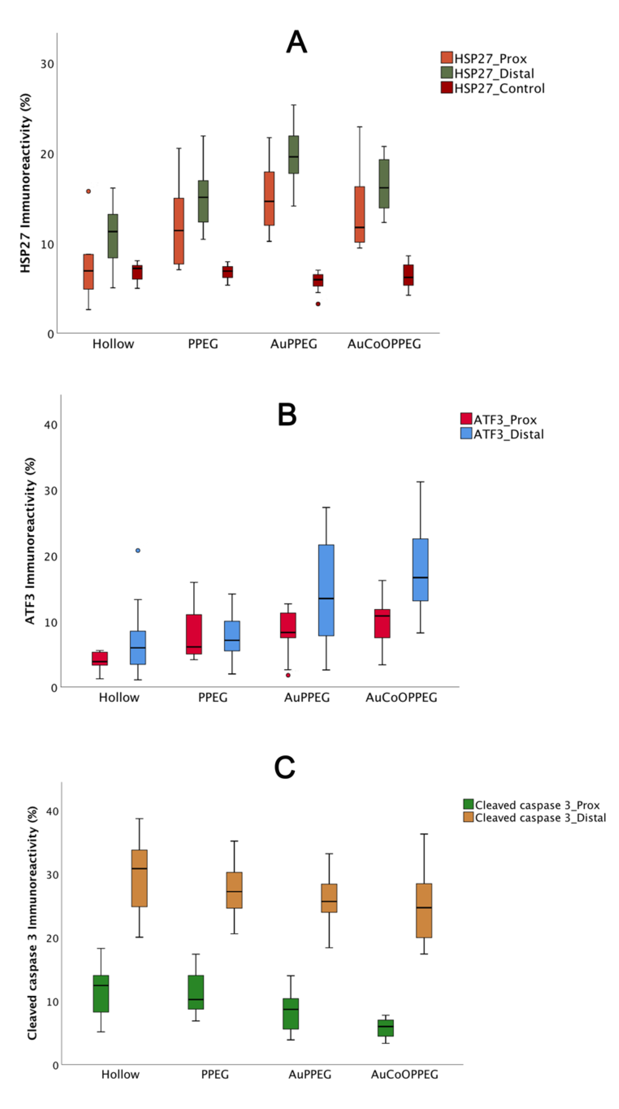 Ijms 22 07146 g005 Ijms 22 07146 g005