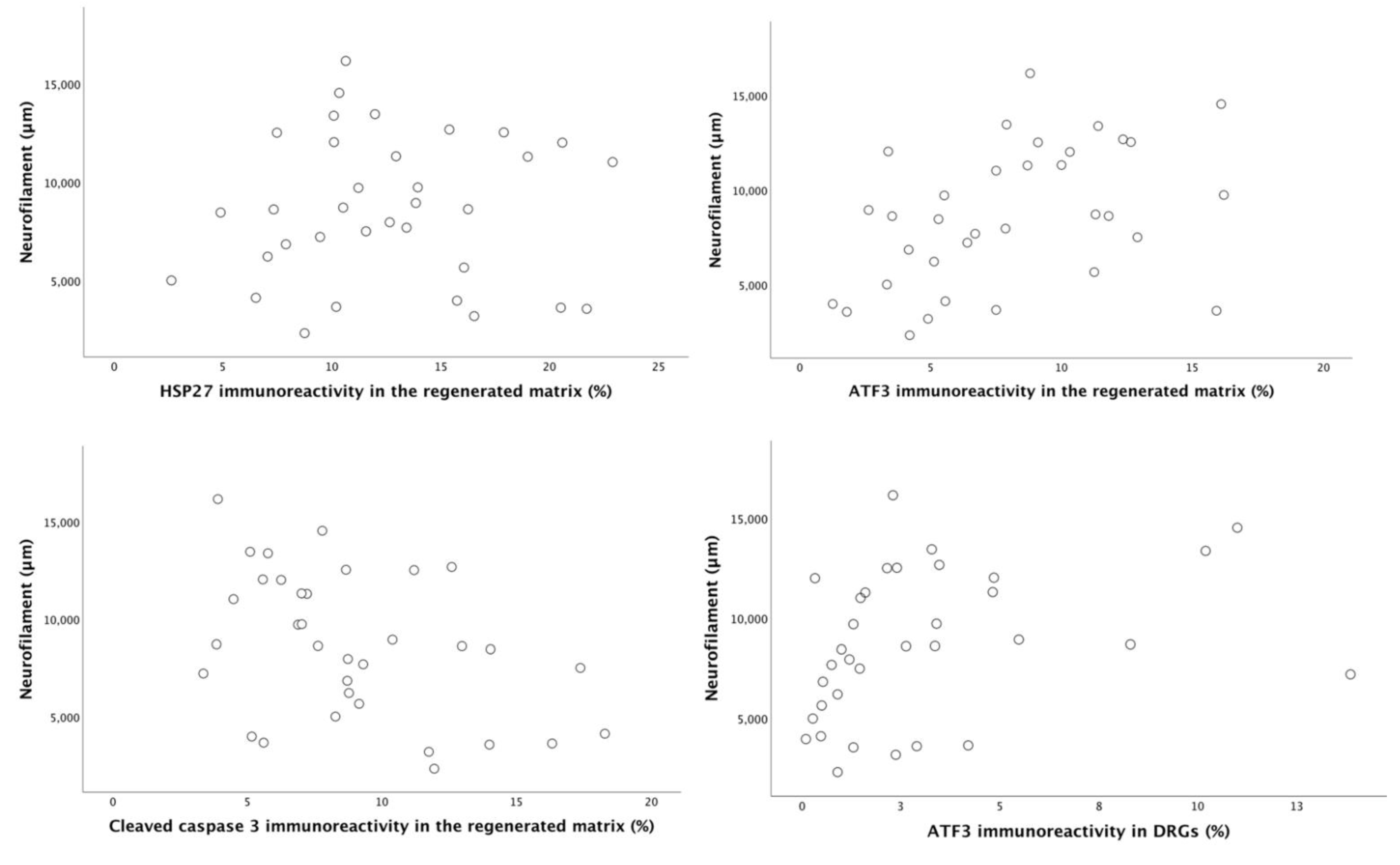 Ijms 22 07146 g011 Ijms 22 07146 g011