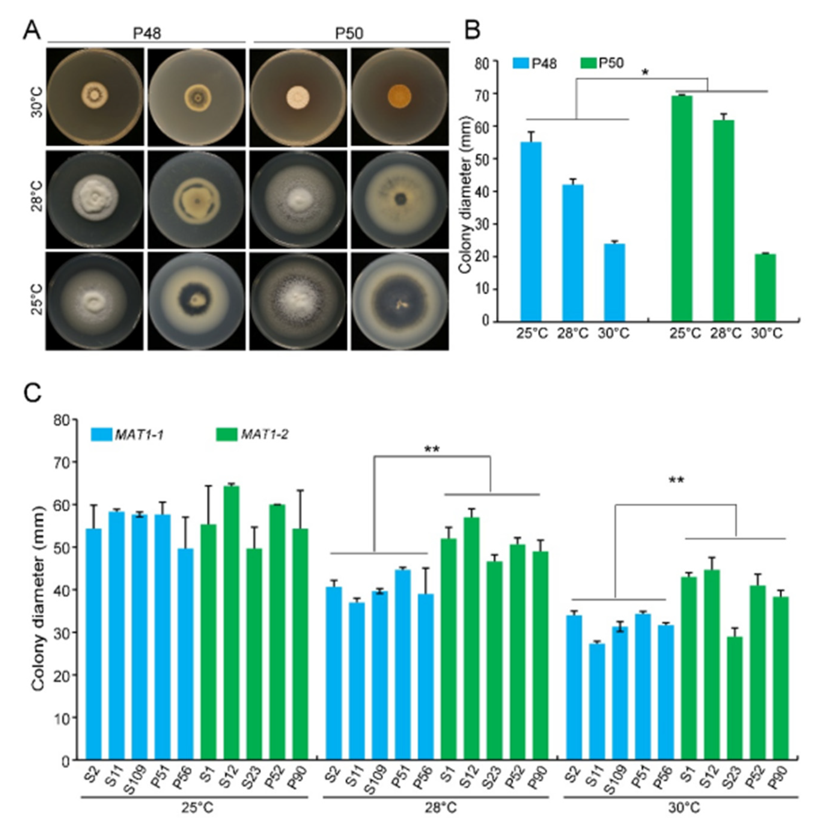 PDF) Biological Characteristics of Verticillium dahliae MAT1-1 and