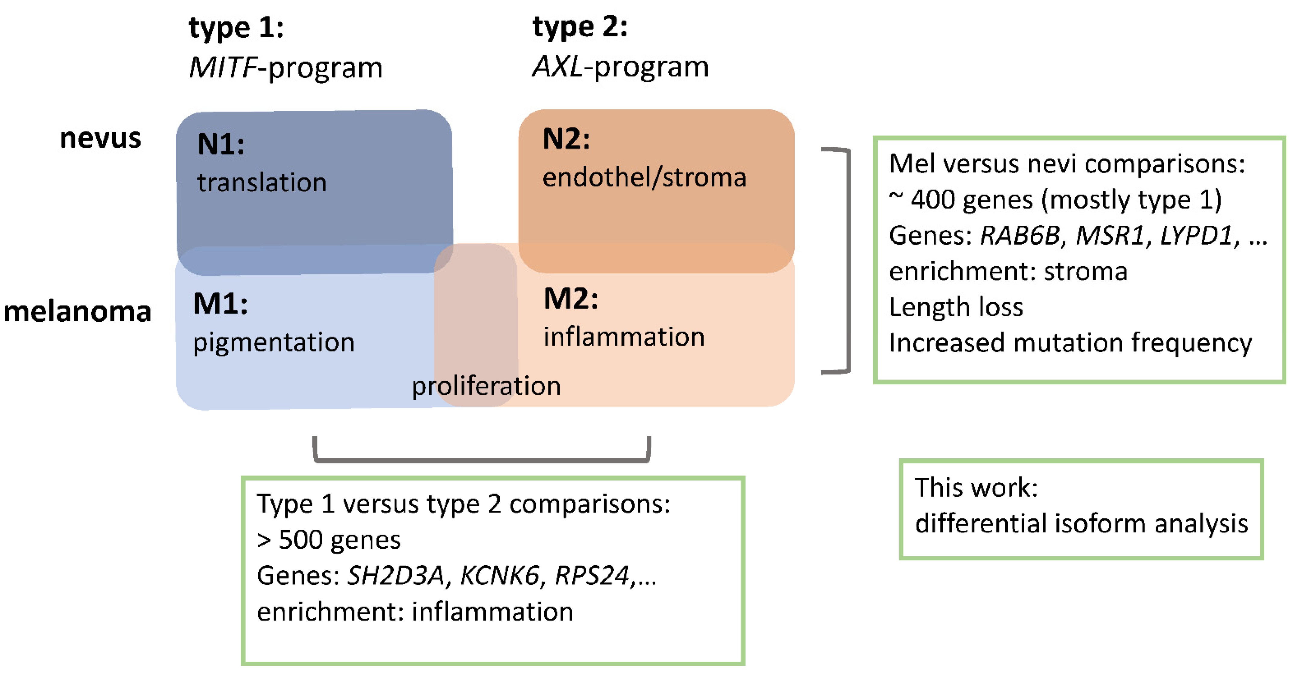 Ijms 22 07165 g001 Ijms 22 07165 g001
