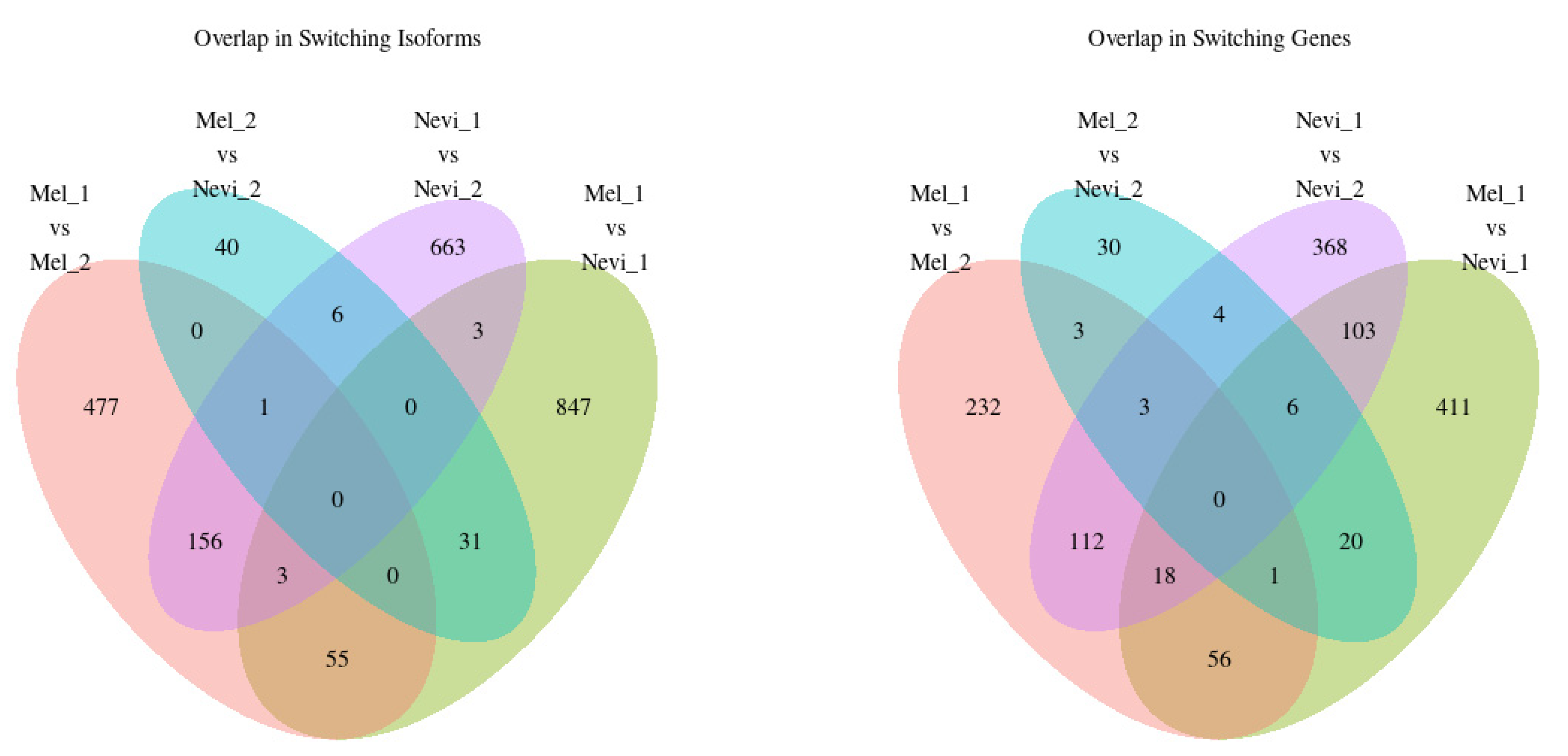 Ijms 22 07165 g004 Ijms 22 07165 g004