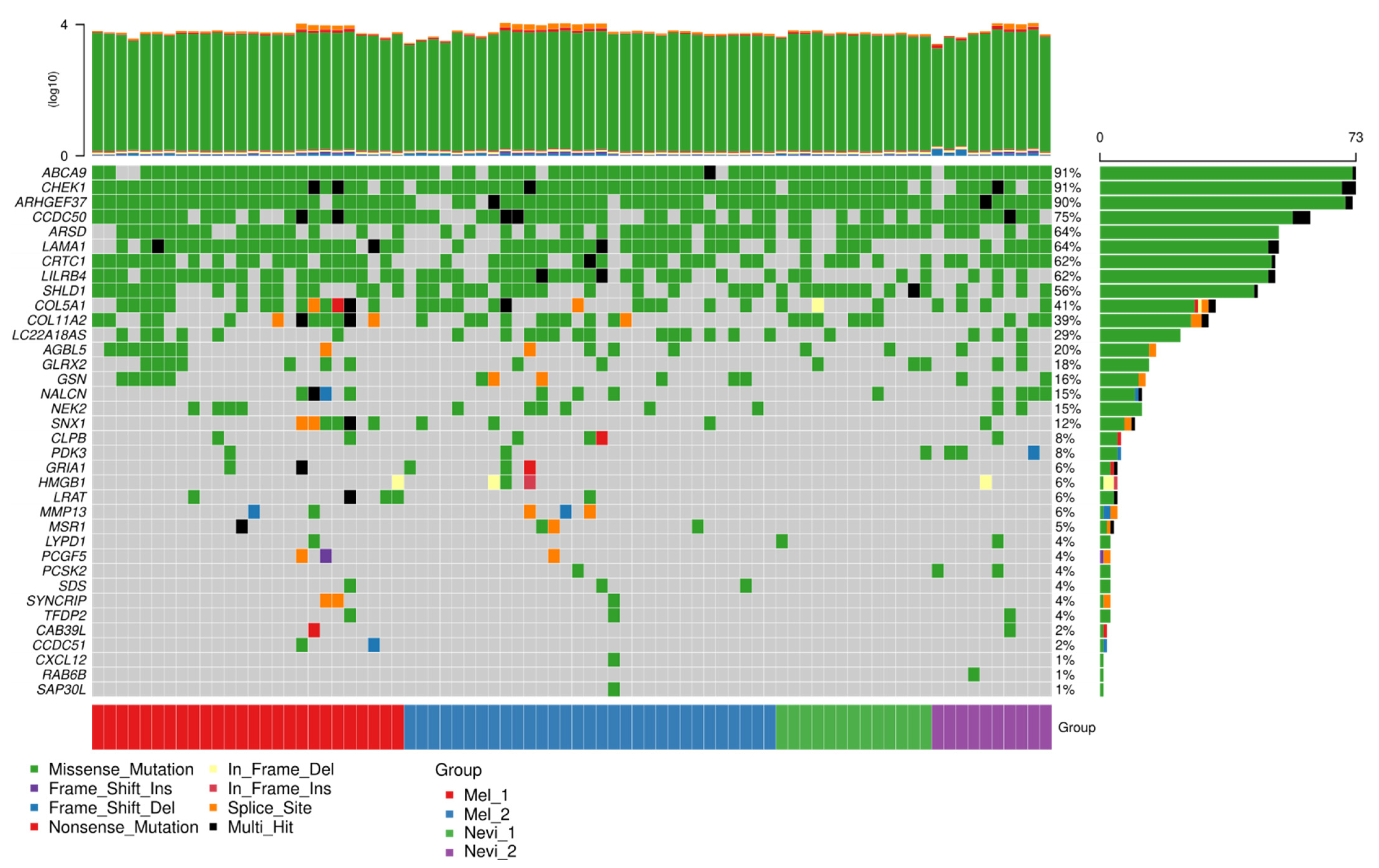 Ijms 22 07165 g008 Ijms 22 07165 g008