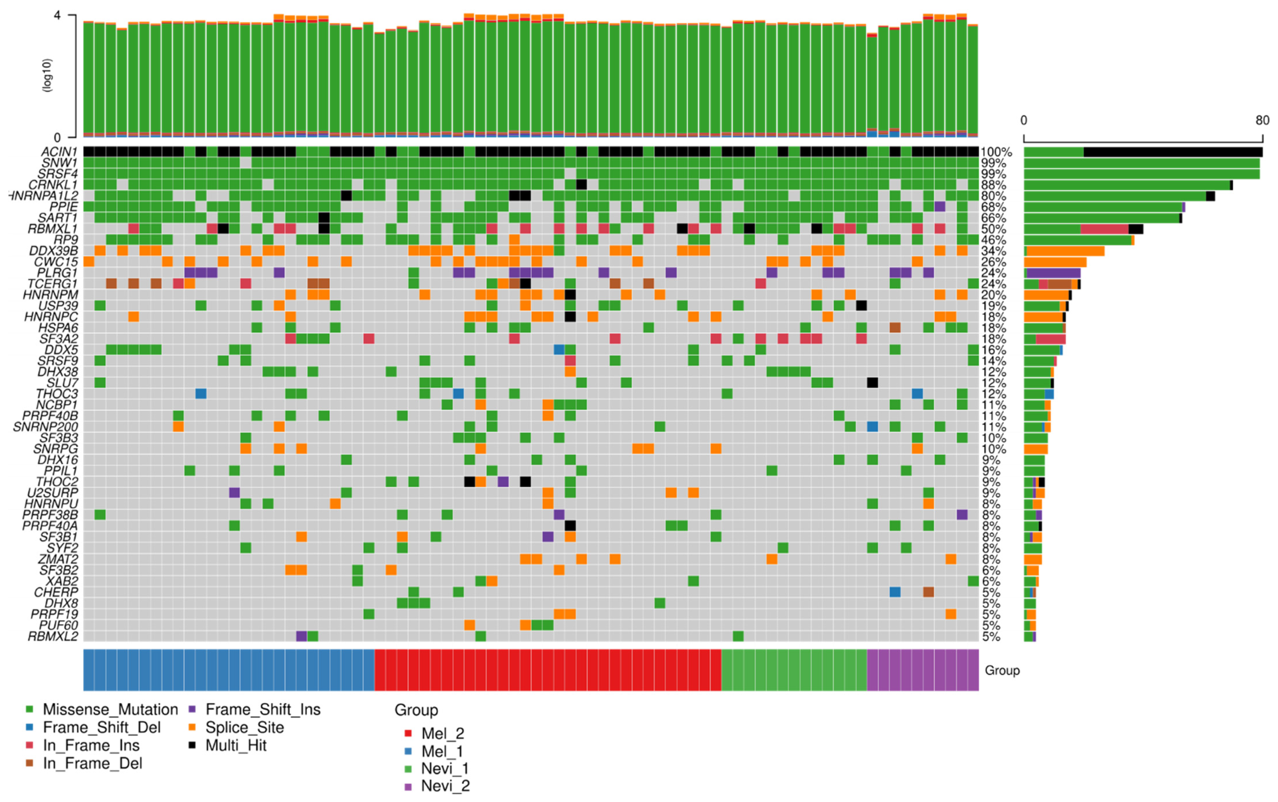 Ijms 22 07165 g009 Ijms 22 07165 g009