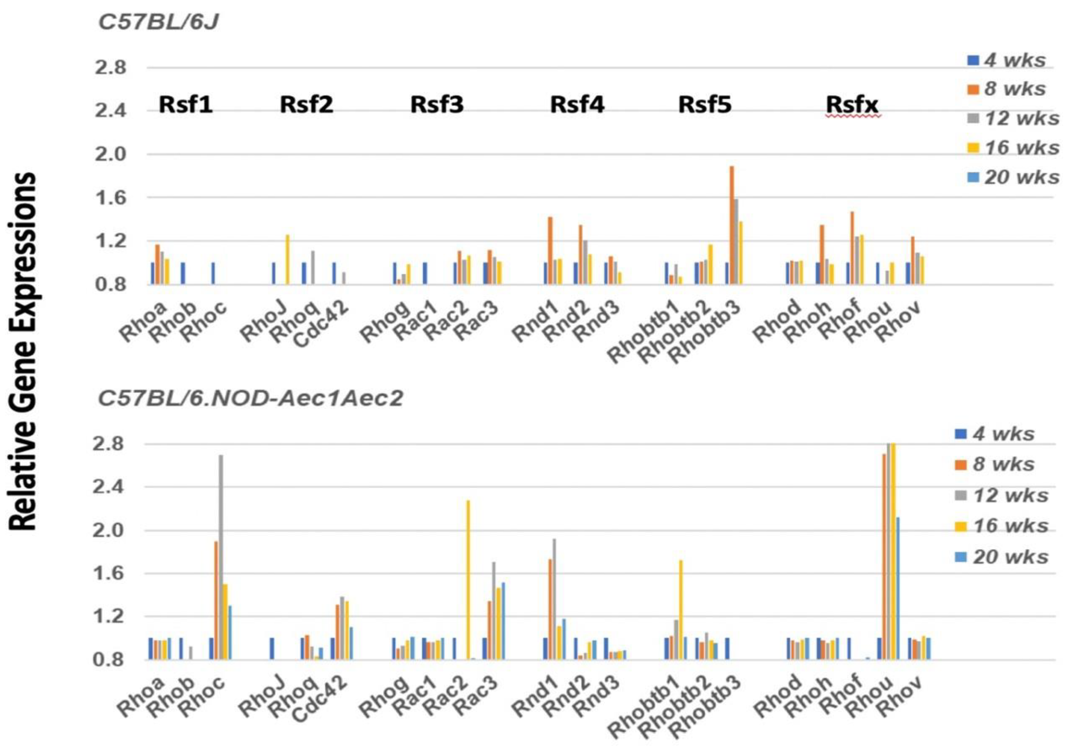 Ijms 22 07176 g003 Ijms 22 07176 g003