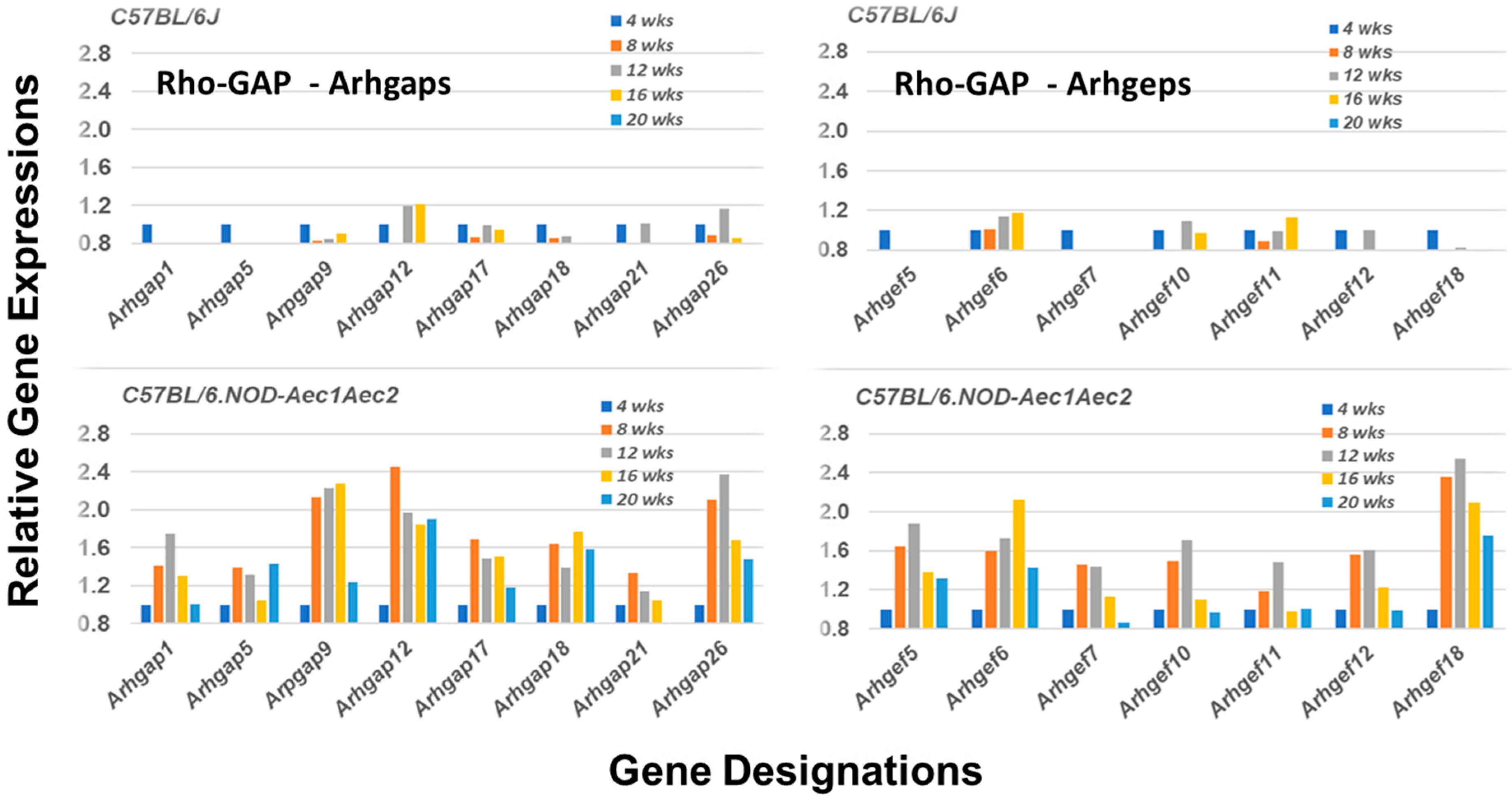 Ijms 22 07176 g004 Ijms 22 07176 g004