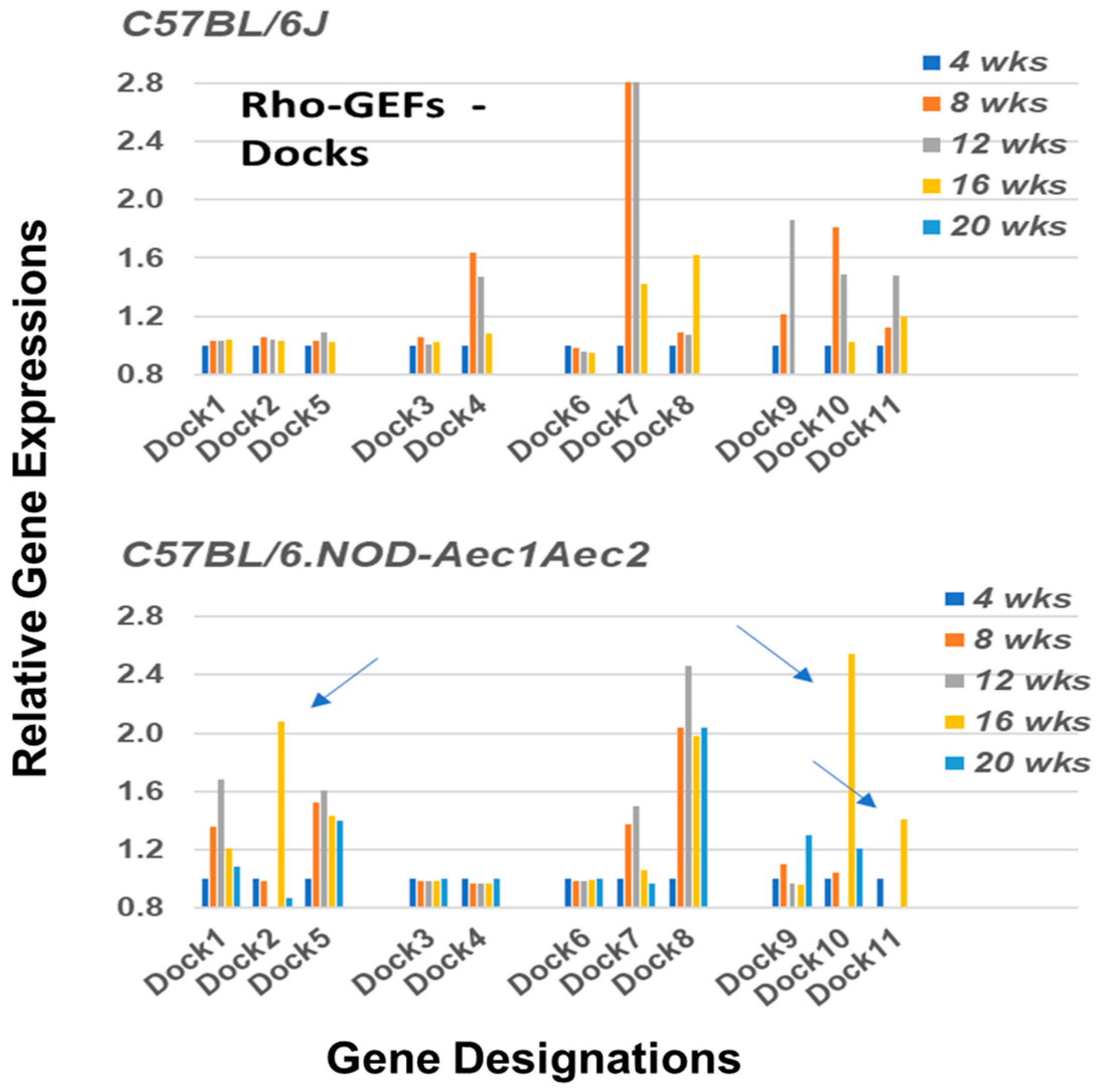 Ijms 22 07176 g005 Ijms 22 07176 g005
