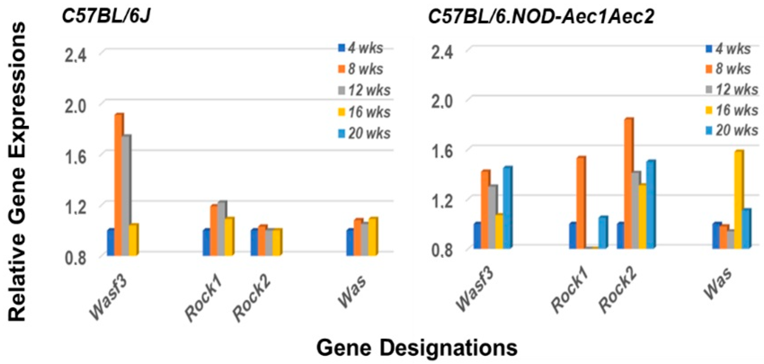 Ijms 22 07176 g006 Ijms 22 07176 g006