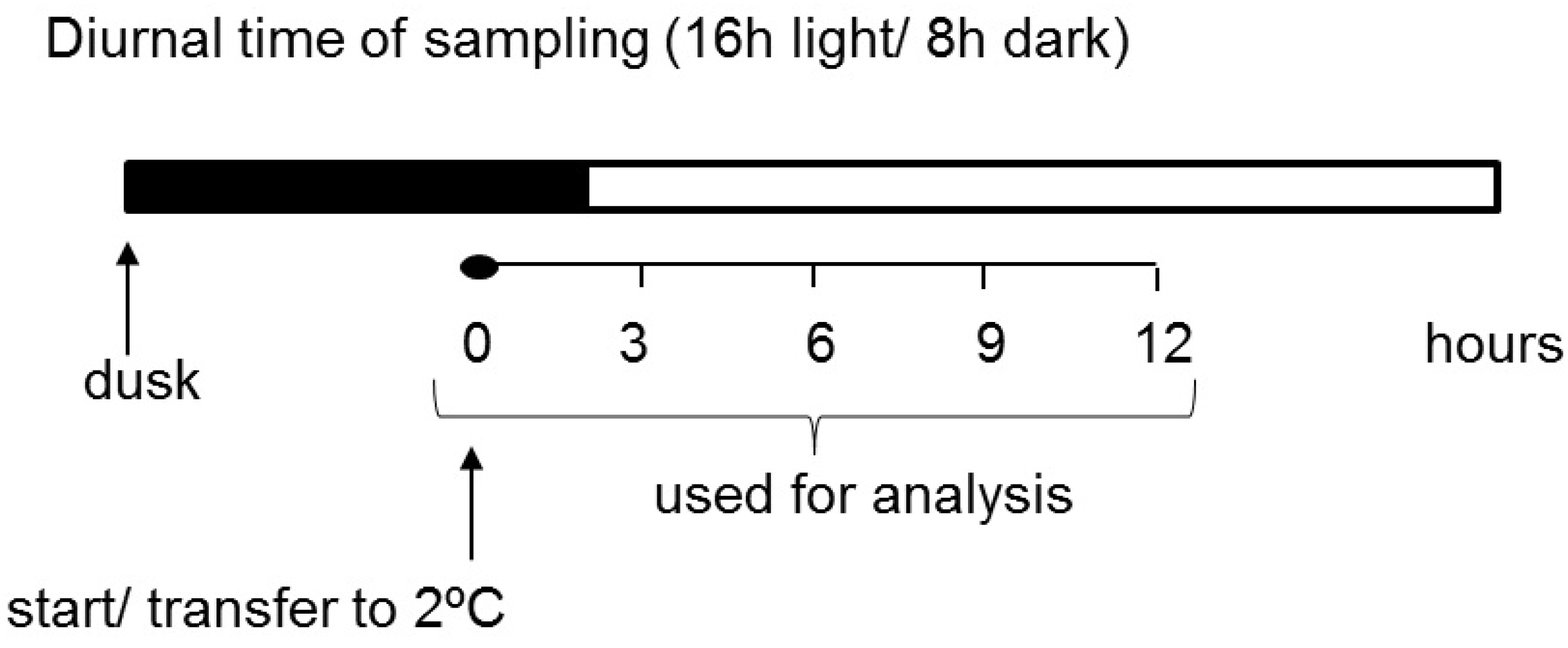 Ijms 22 07203 g001 Ijms 22 07203 g001
