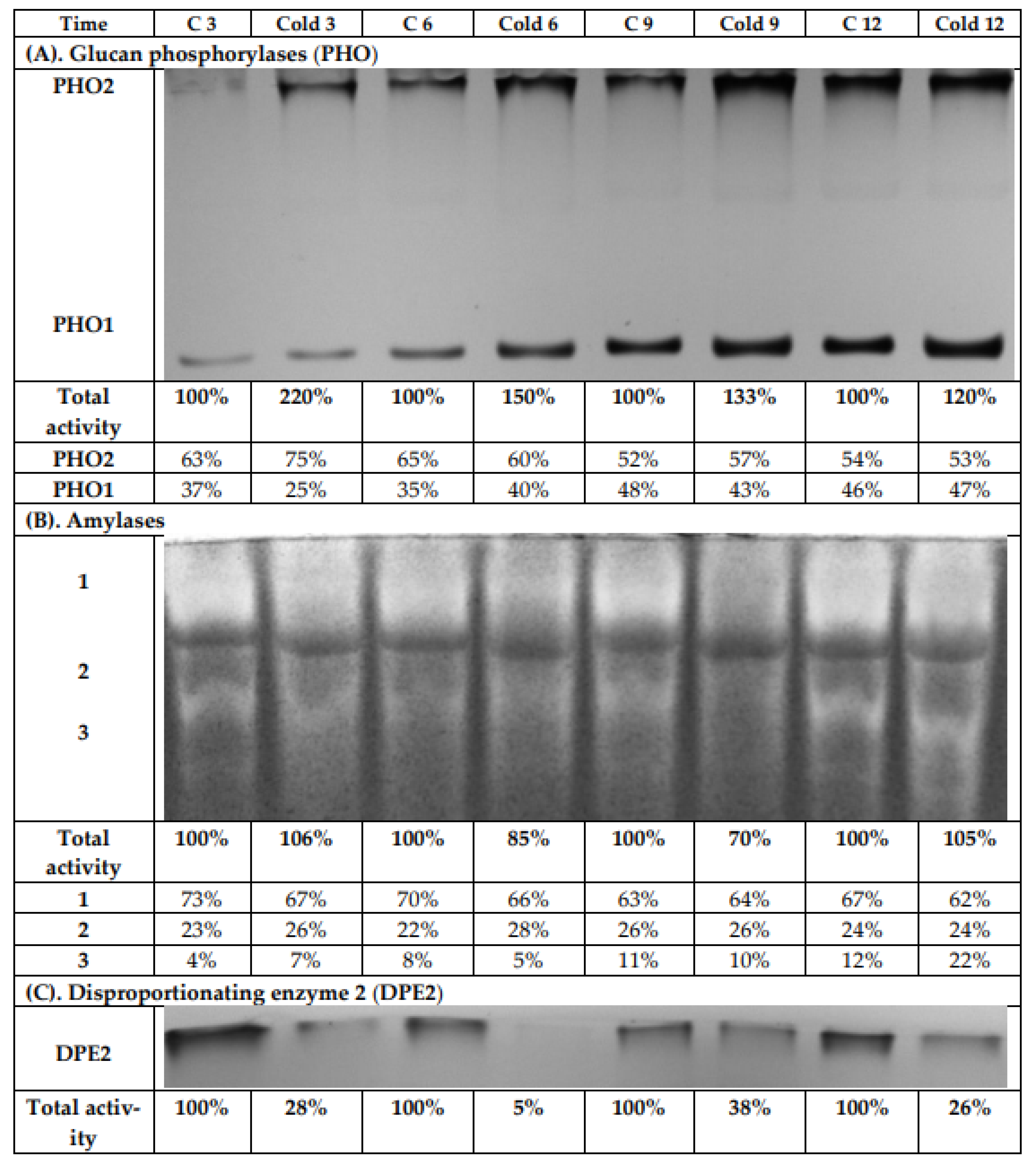 Ijms 22 07203 g008 Ijms 22 07203 g008