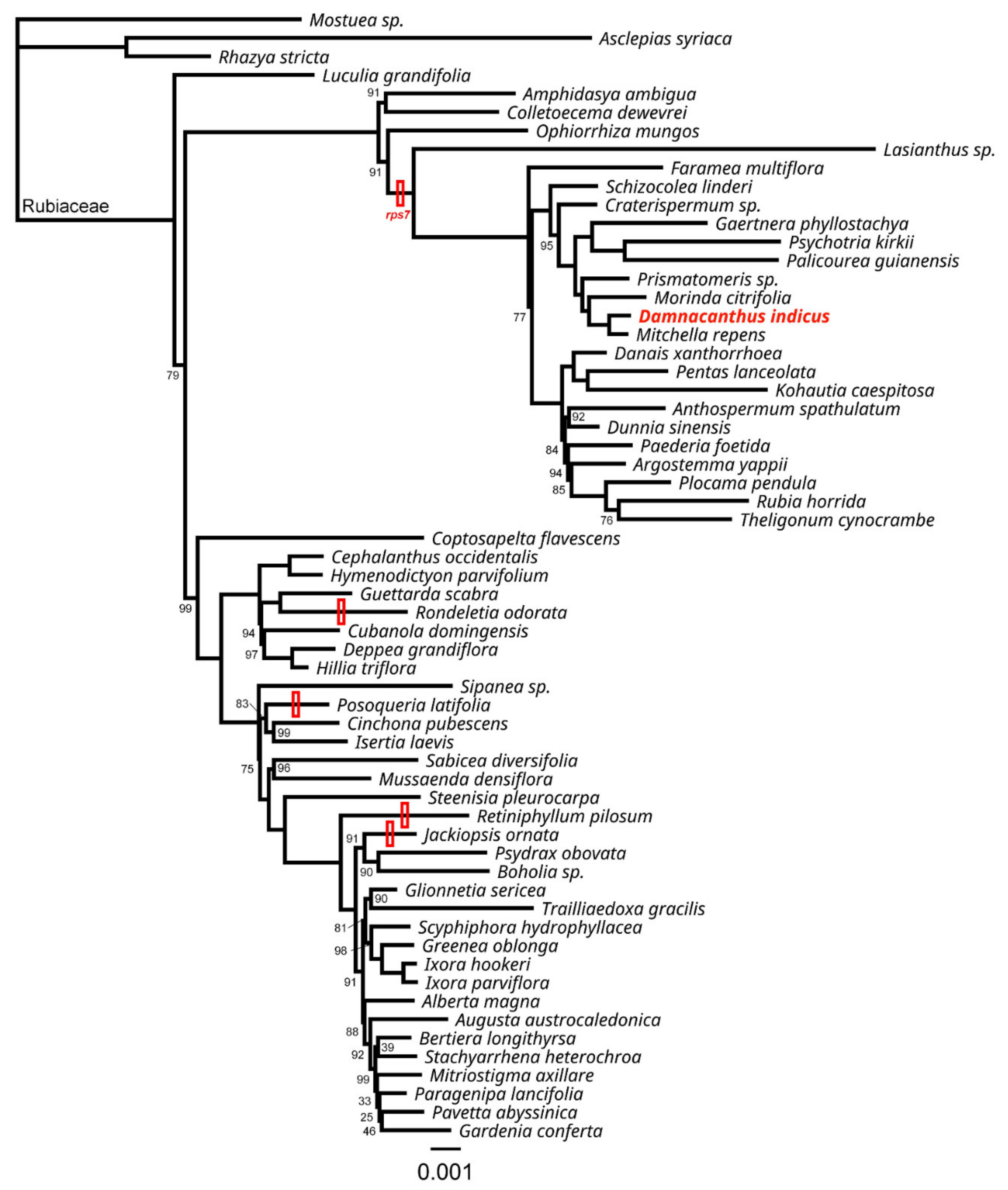 Ijms 22 07237 g003 Ijms 22 07237 g003