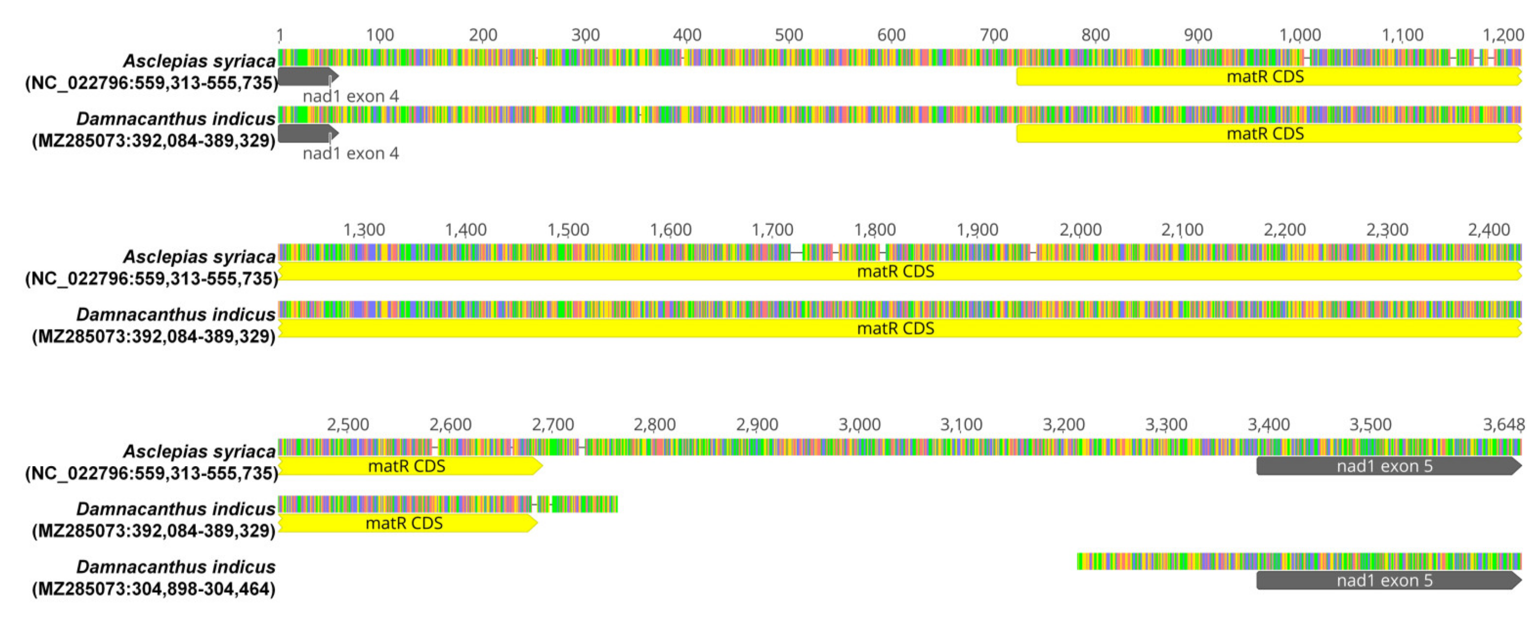 Ijms 22 07237 g005 Ijms 22 07237 g005