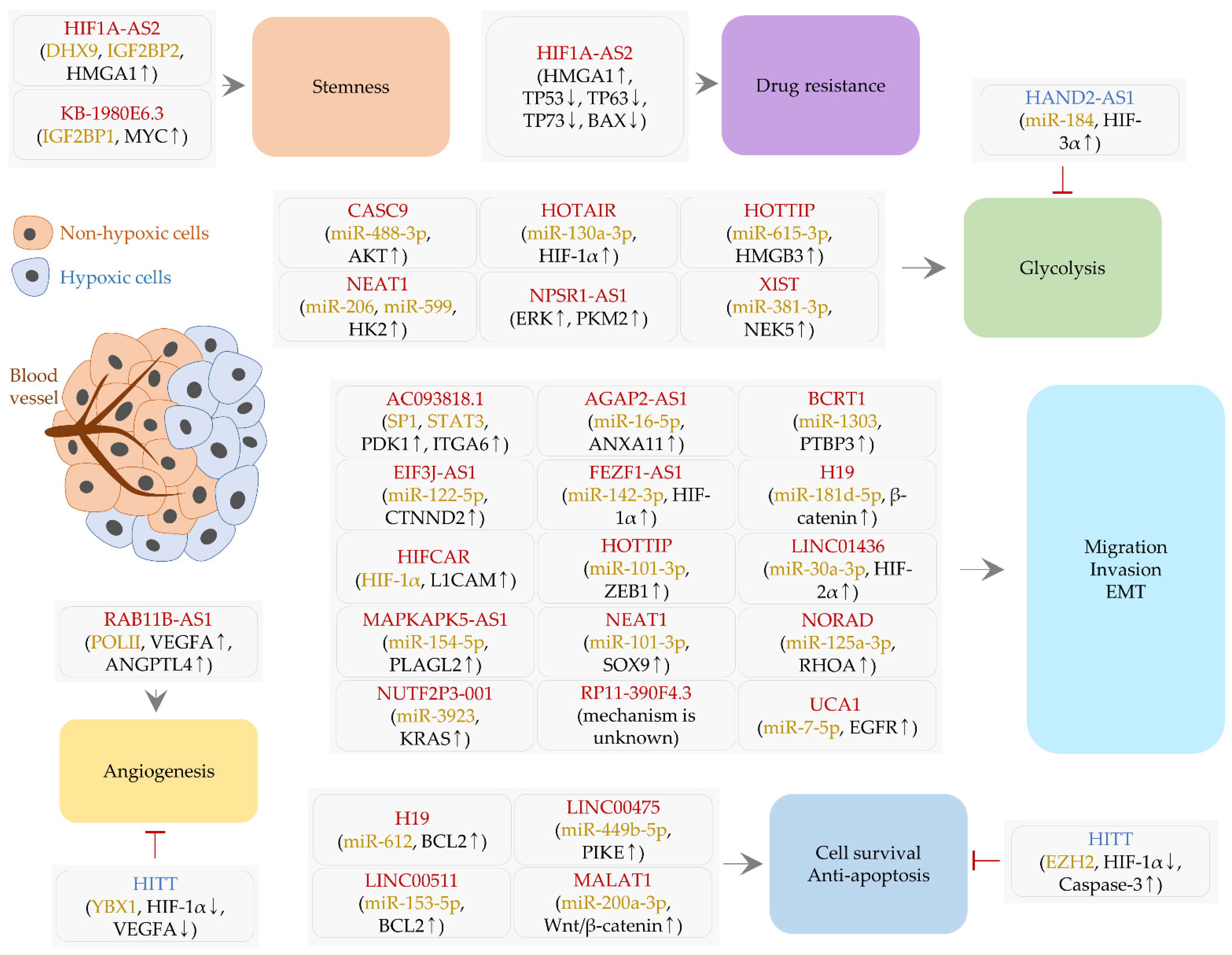 Ijms 22 07261 g001 Ijms 22 07261 g001