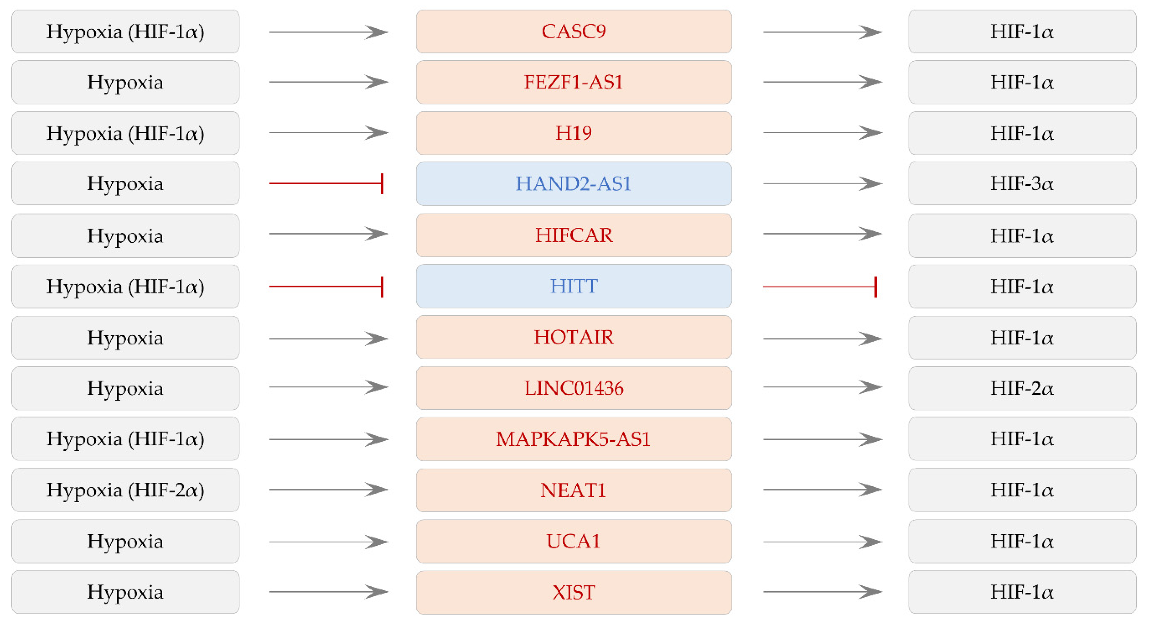 Ijms 22 07261 g003 Ijms 22 07261 g003