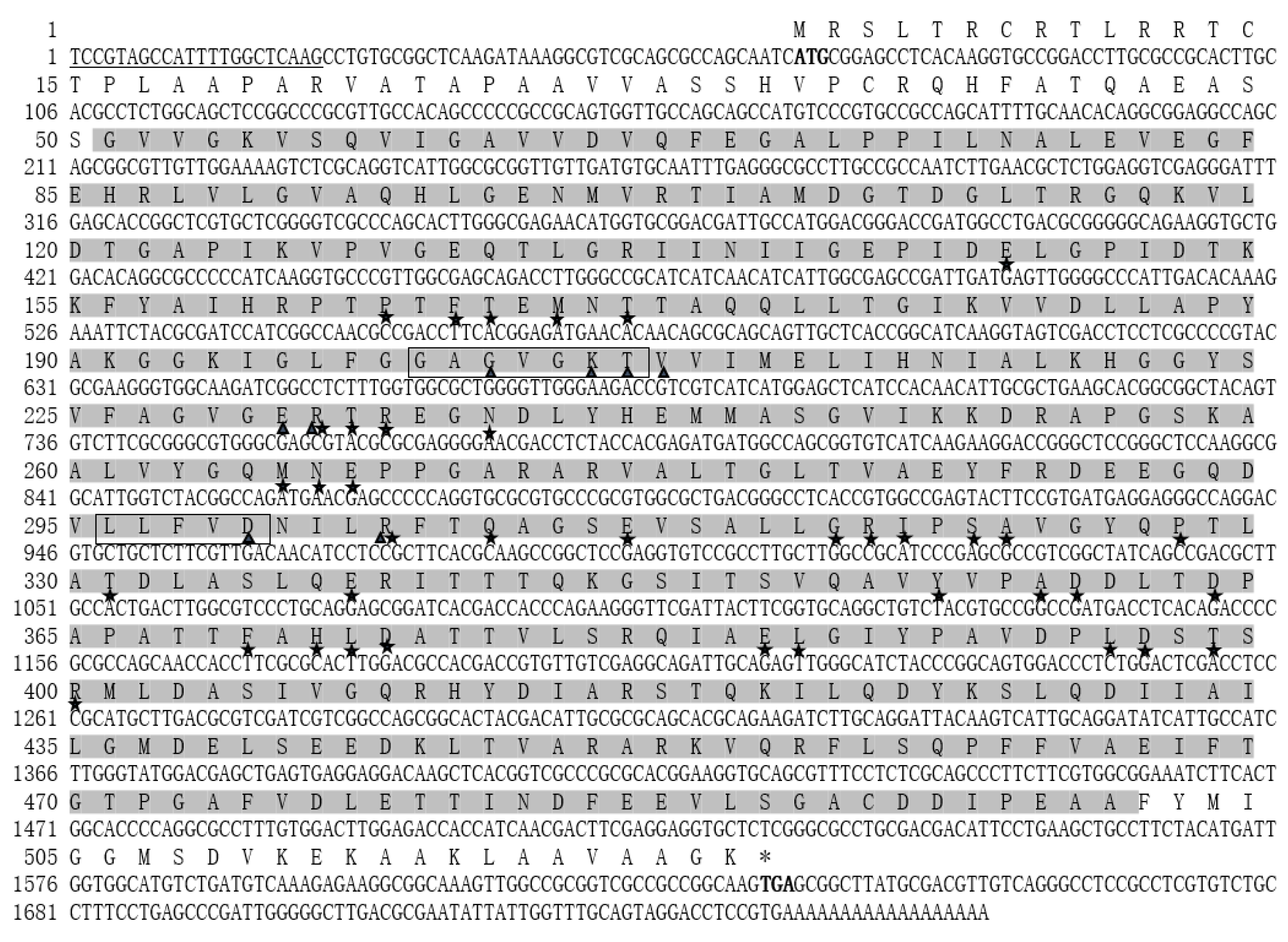 Ijms 22 07325 g002 Ijms 22 07325 g002