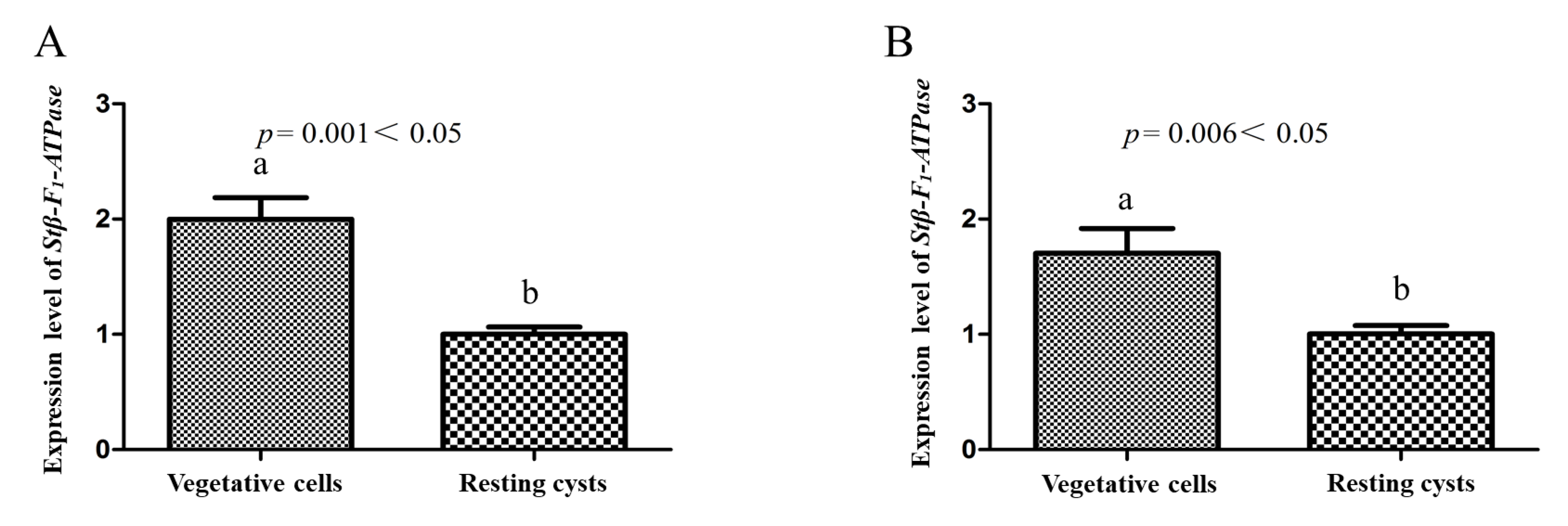 Ijms 22 07325 g004 Ijms 22 07325 g004