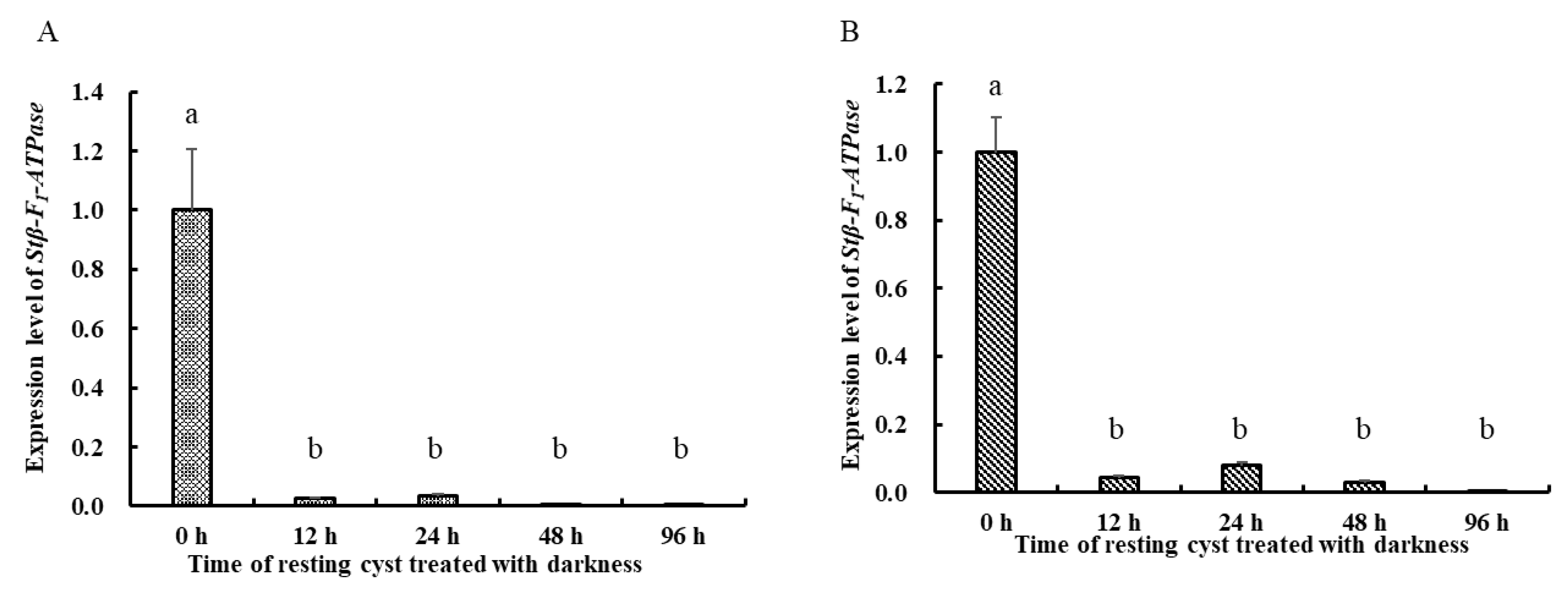 Ijms 22 07325 g005 Ijms 22 07325 g005