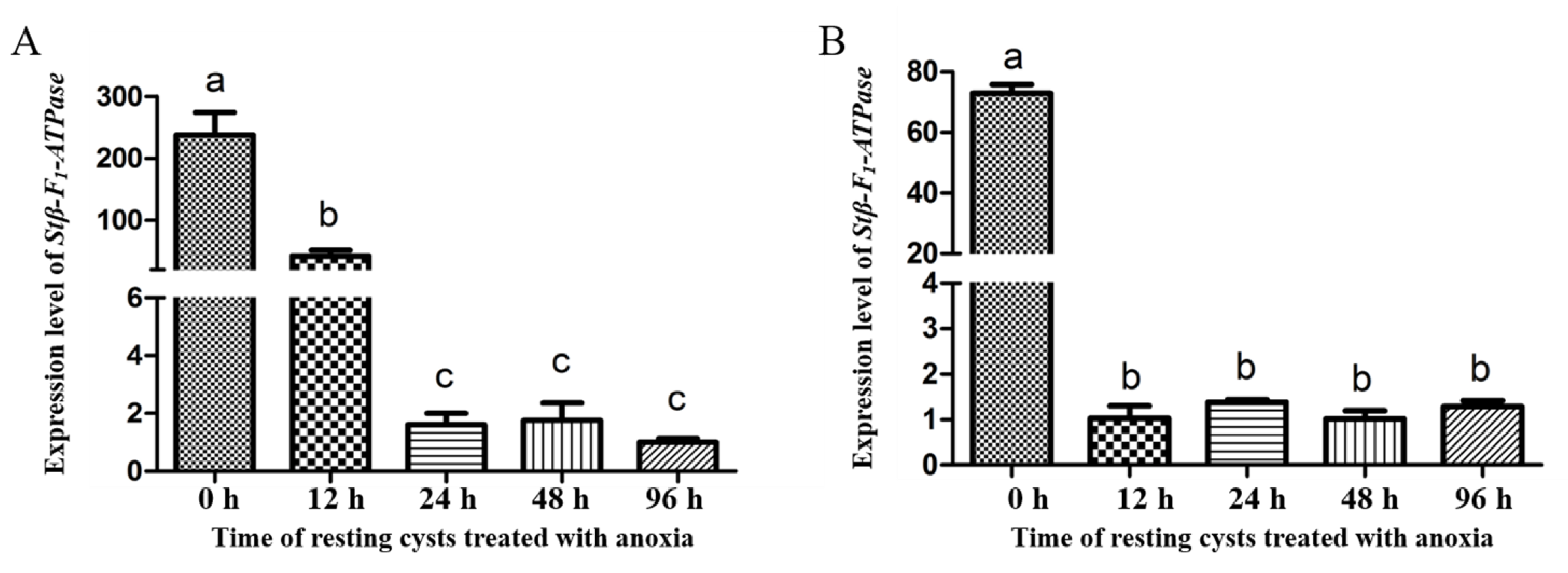Ijms 22 07325 g007 Ijms 22 07325 g007