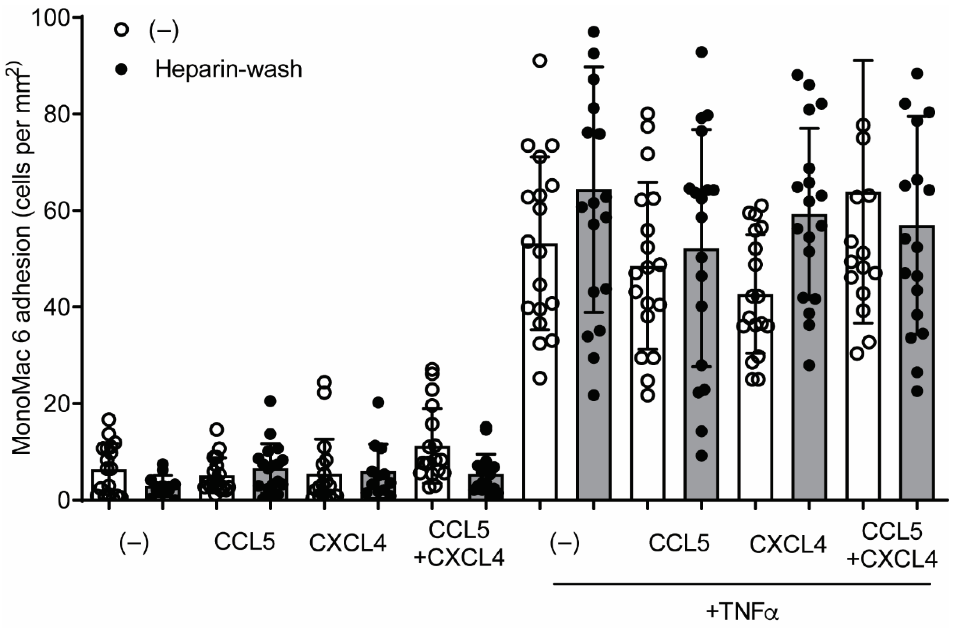 Ijms 22 07332 g008 Ijms 22 07332 g008