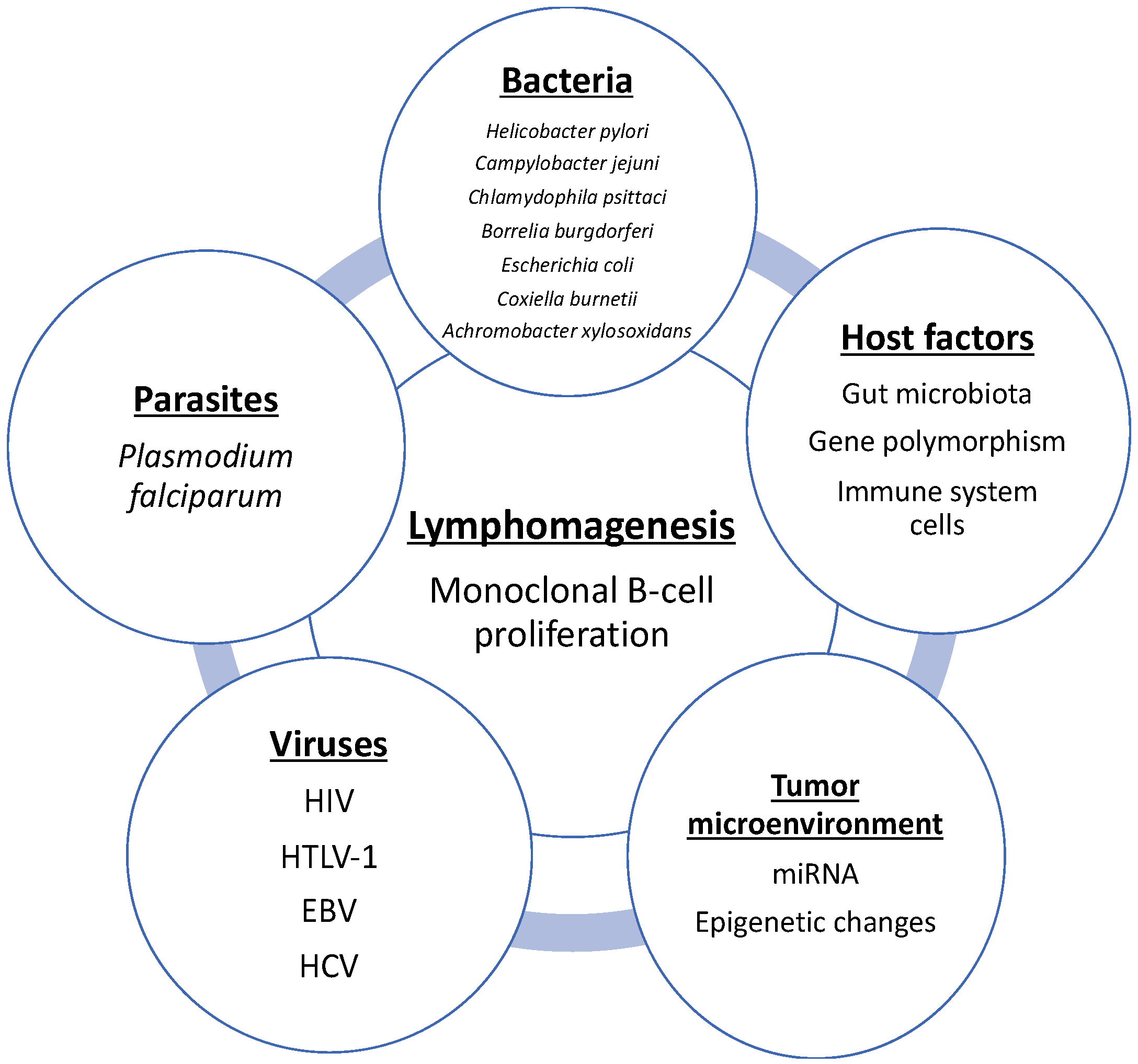 IJMS | Free Full-Text | Bacterial Infection And Non-Hodgkin B-Cell ...