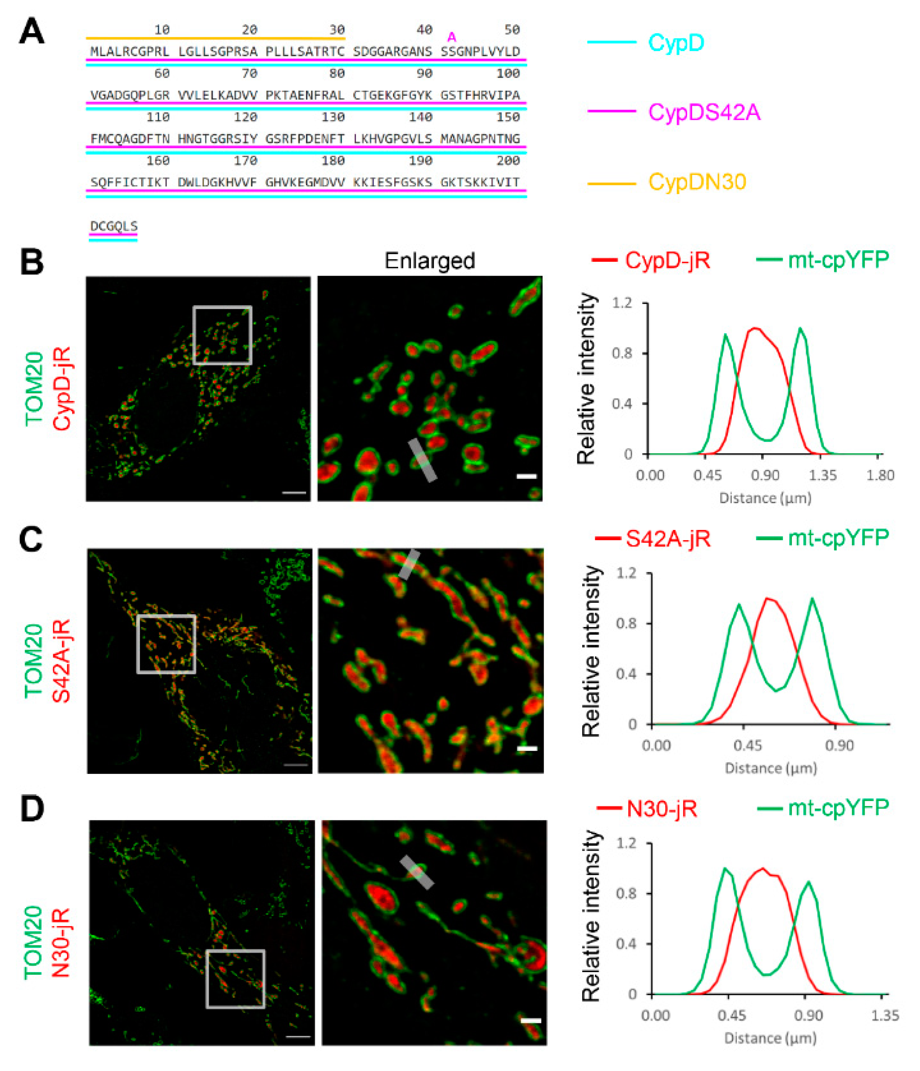 Ijms 22 07412 g001 Ijms 22 07412 g001