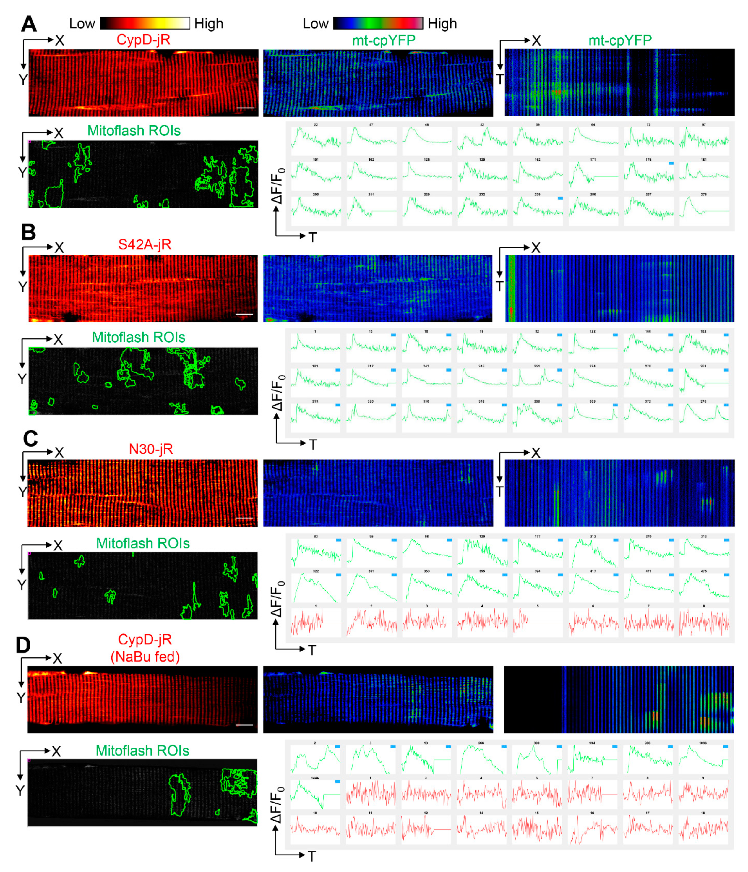 Ijms 22 07412 g004 Ijms 22 07412 g004