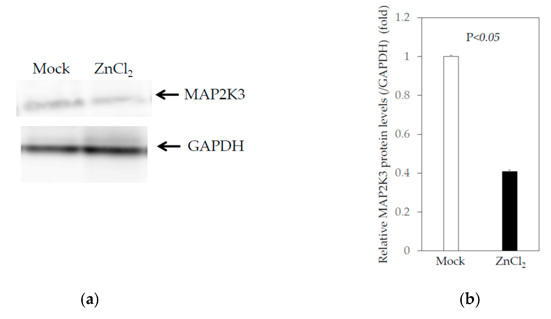 Ijms 22 07420 g002a Ijms 22 07420 g002a