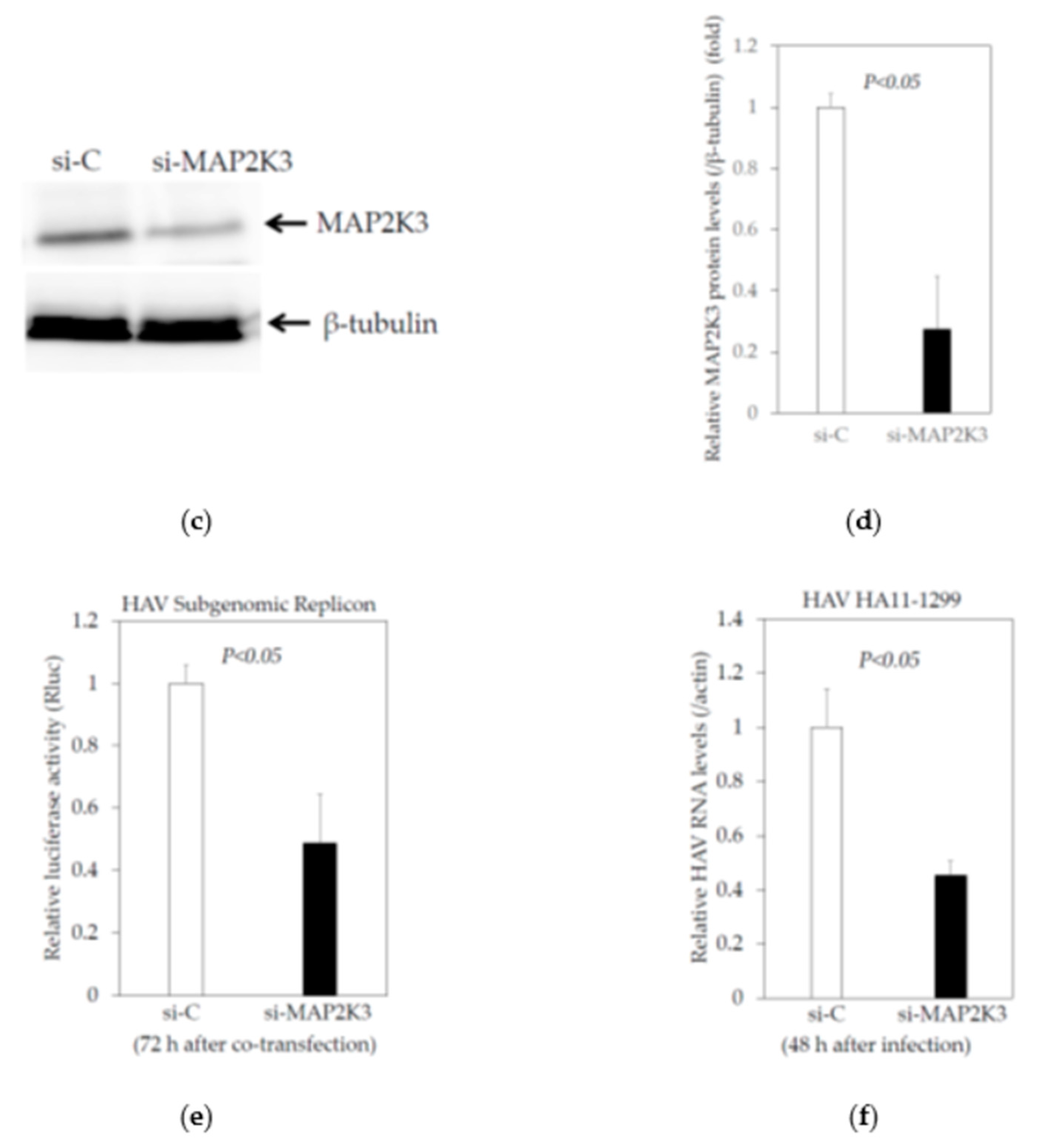 Ijms 22 07420 g002b Ijms 22 07420 g002b