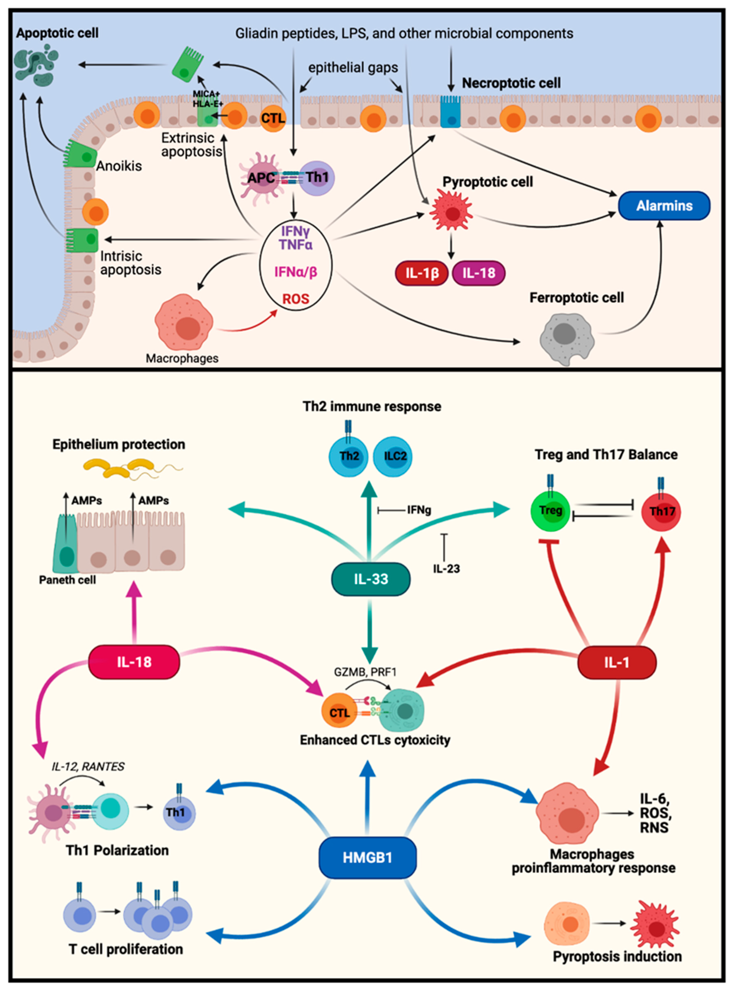 Ijms 22 07426 g004 Ijms 22 07426 g004