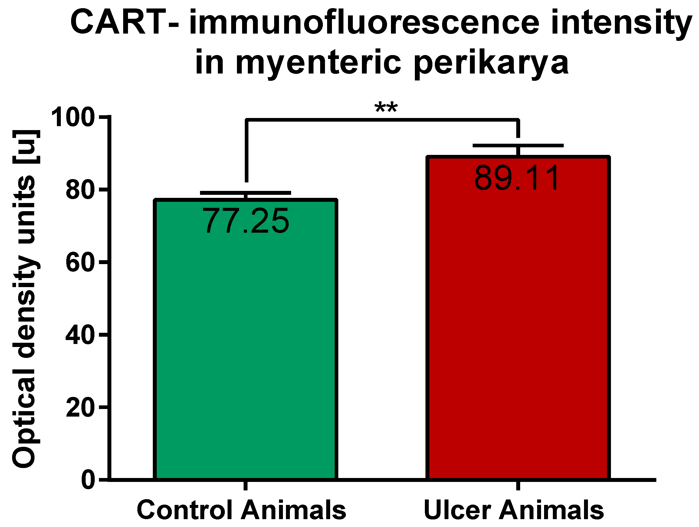 Ijms 22 07437 g006 Ijms 22 07437 g006
