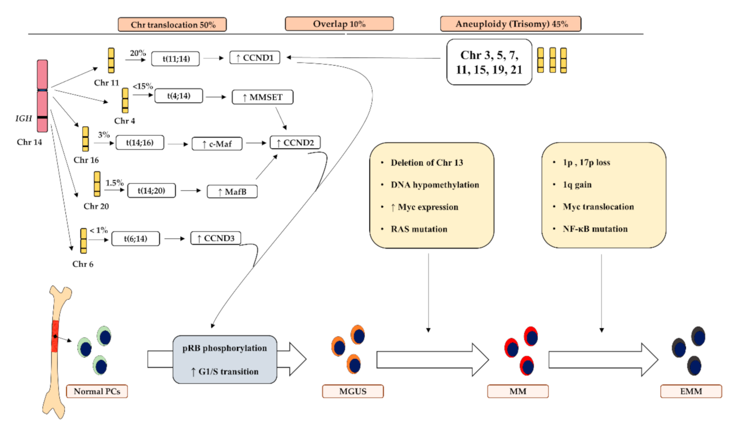 IJMS | Free Full-Text | Next-Generation Biomarkers in Multiple Myeloma:  Understanding the Molecular Basis for Potential Use in Diagnosis and  Prognosis