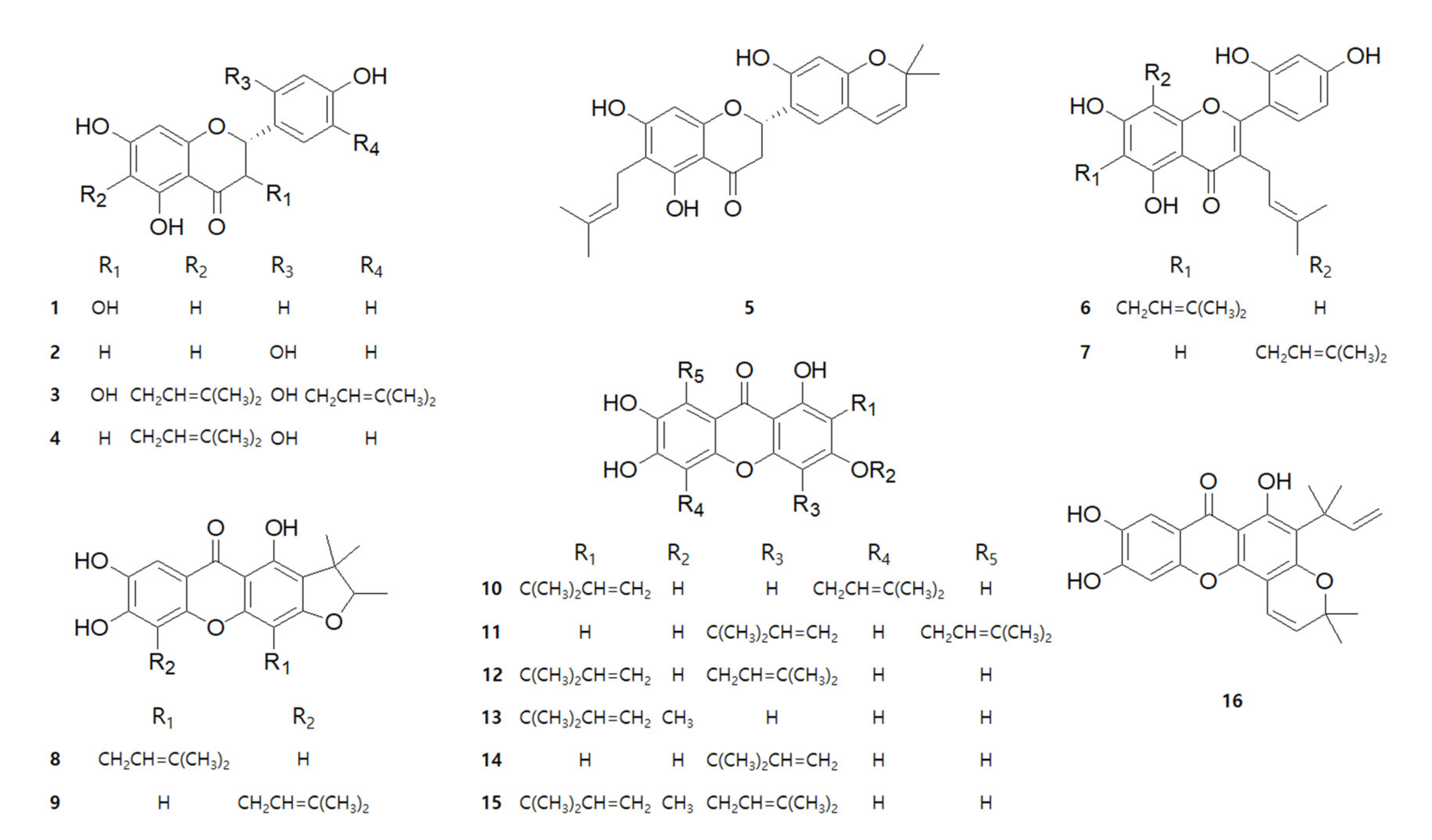 Ijms Free Full Text Anti Inflammatory Effects Of Compounds From Cudrania Tricuspidata In Hacat Human Keratinocytes Html