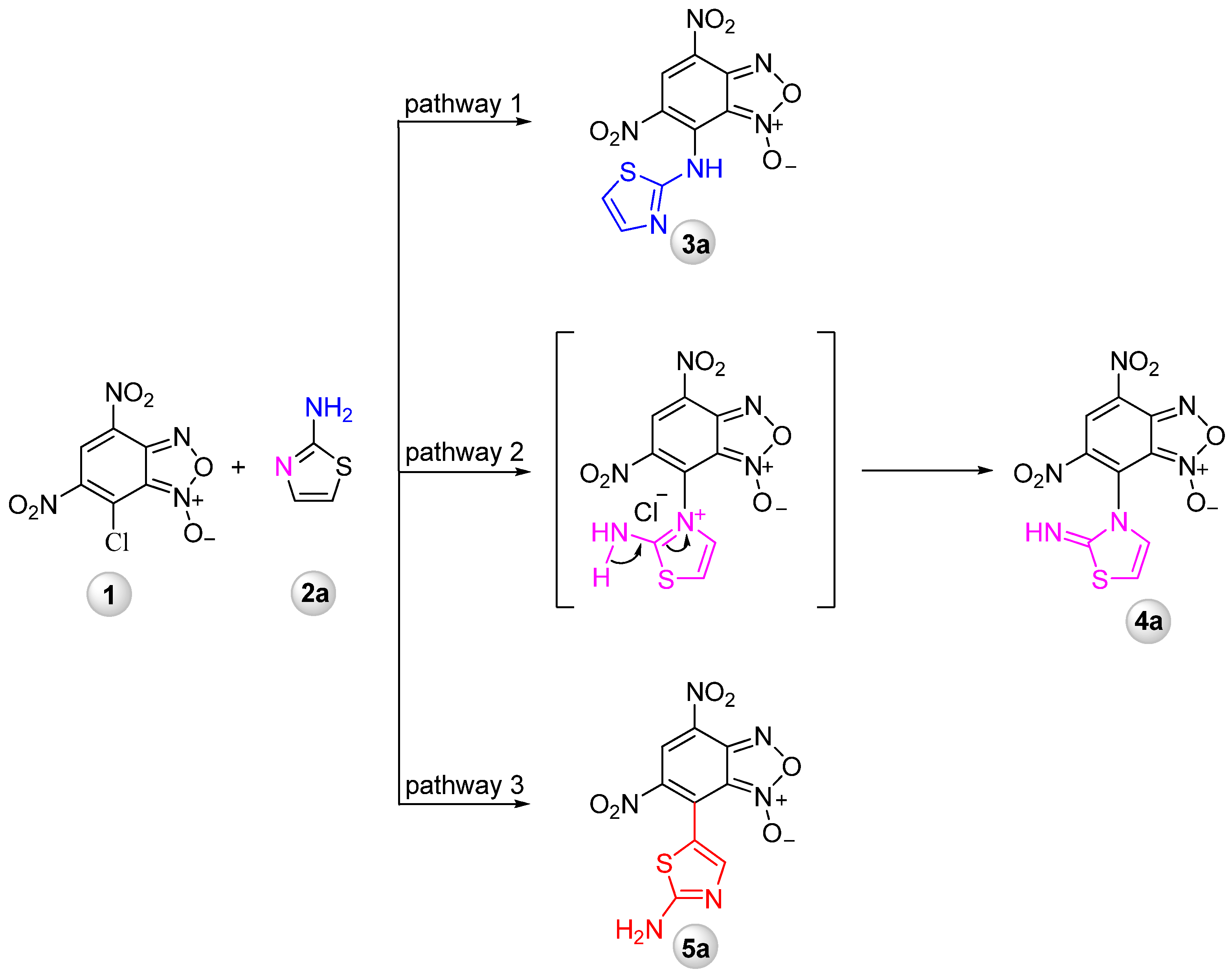 Ijms 22 07497 sch001 Ijms 22 07497 sch001