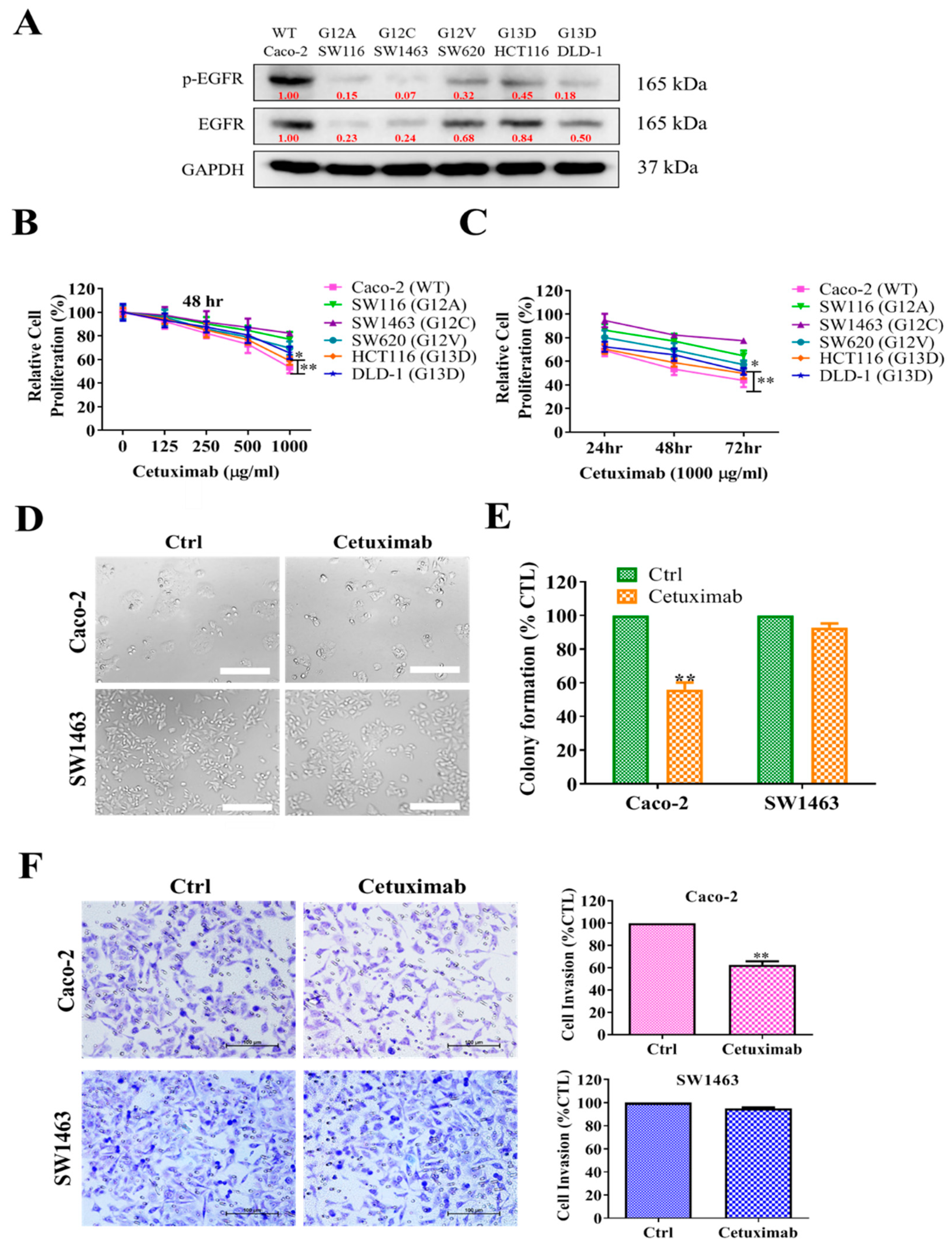 Ijms 22 07508 g002 Ijms 22 07508 g002