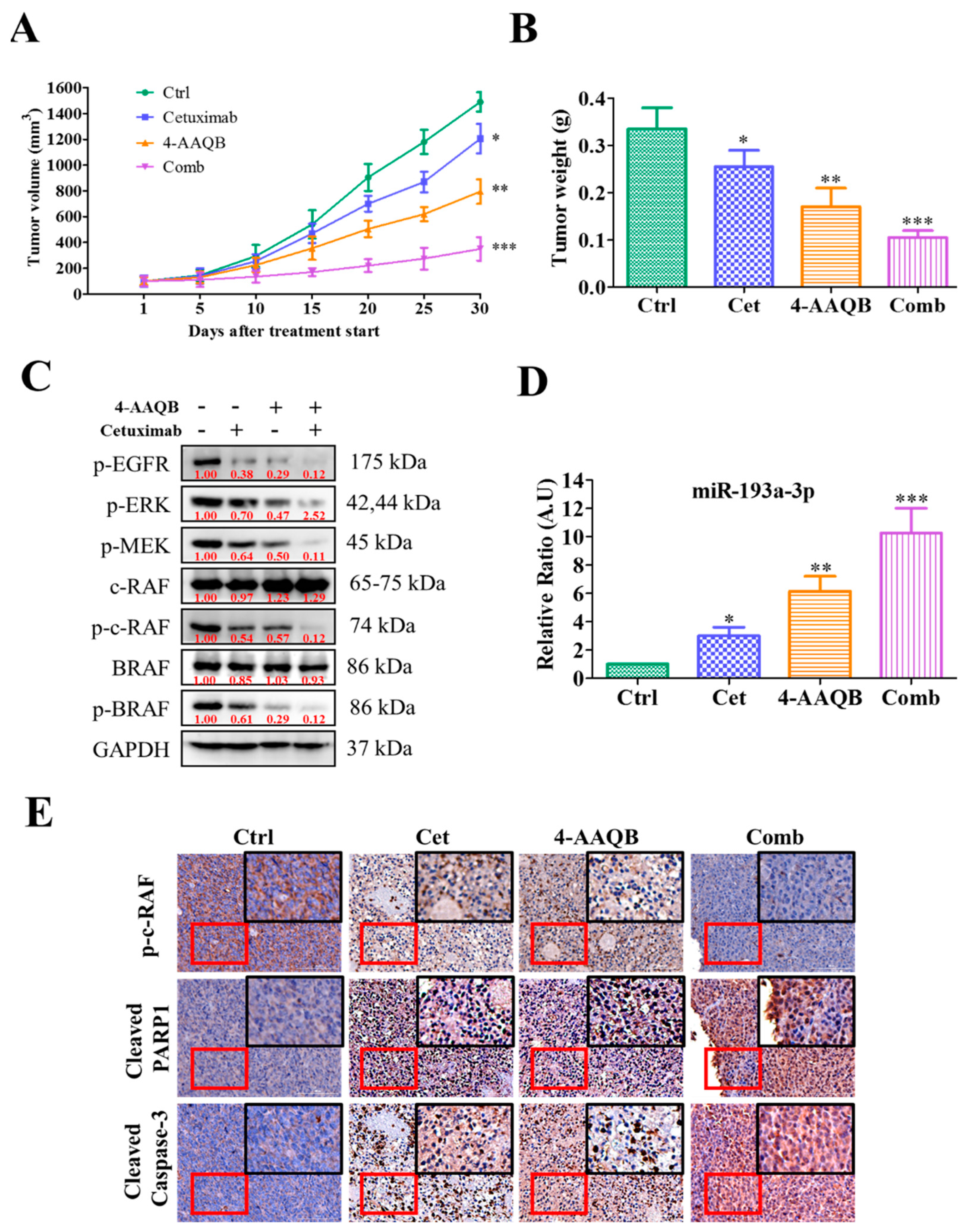 Ijms 22 07508 g006 Ijms 22 07508 g006