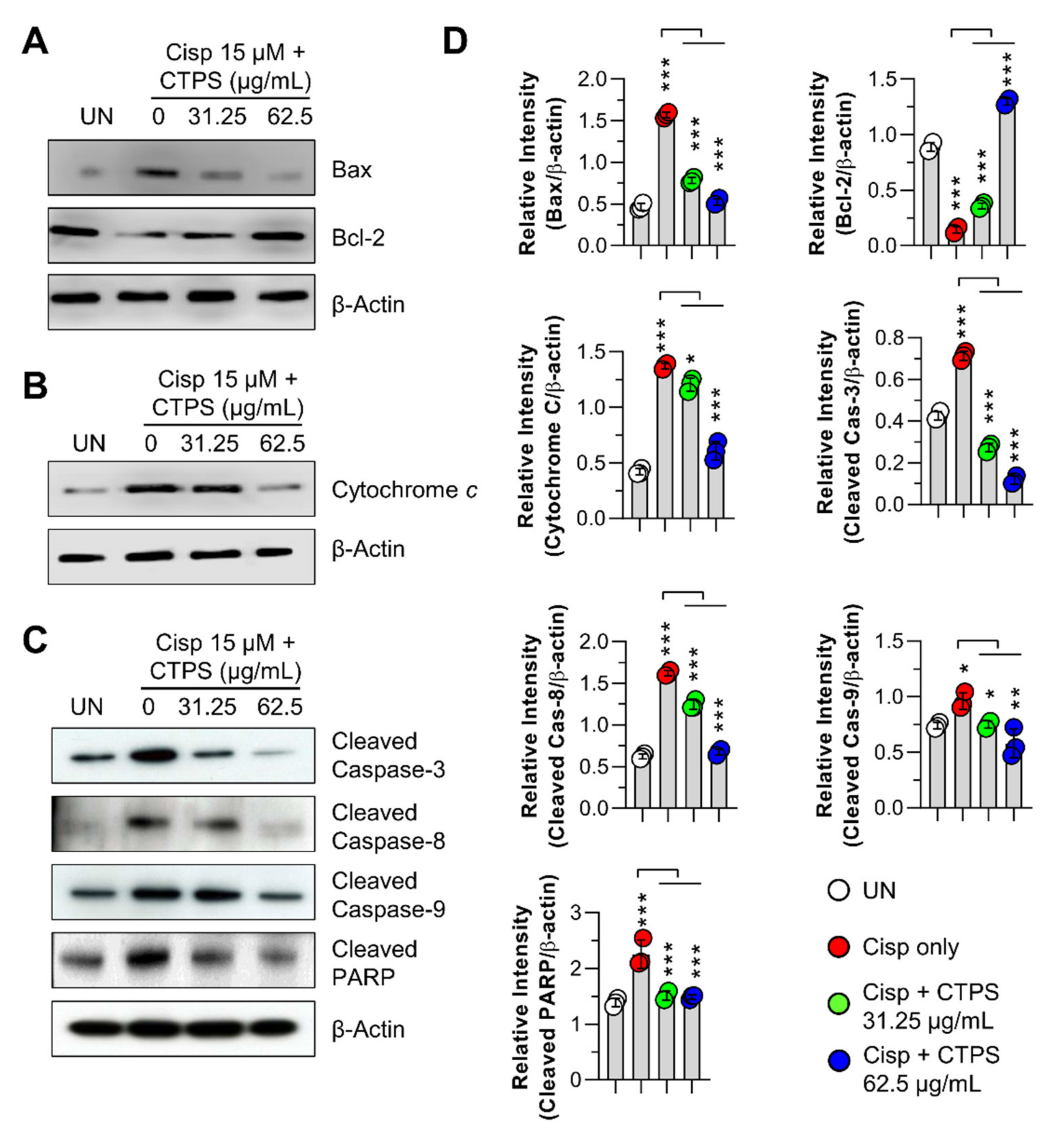 Ijms 22 07512 g003 Ijms 22 07512 g003