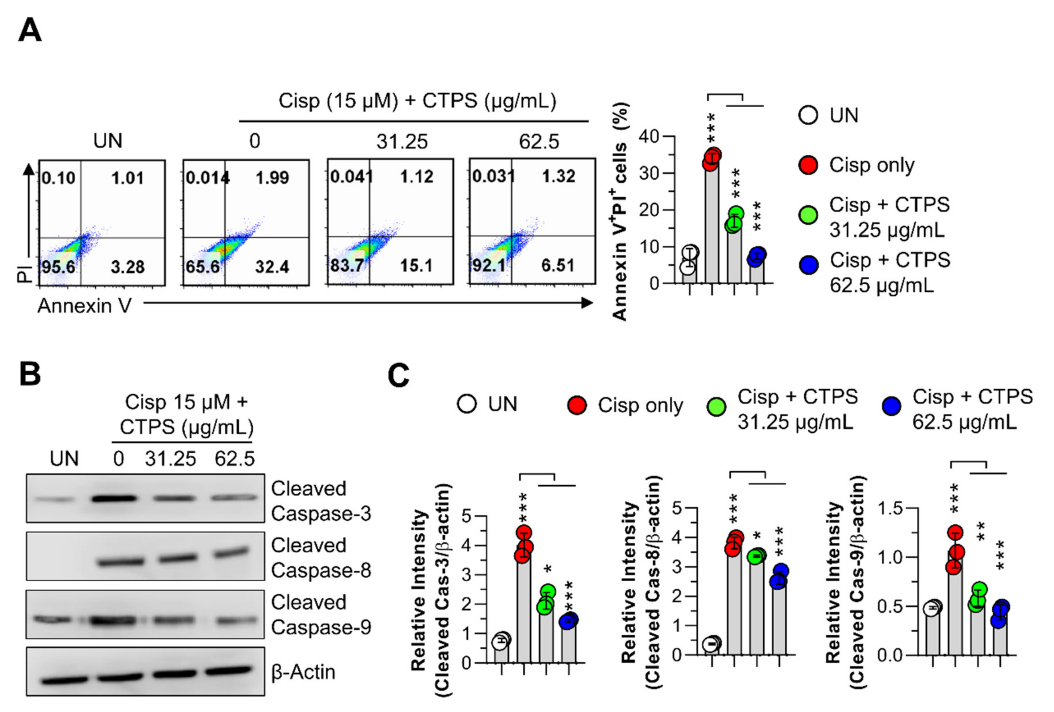 Ijms 22 07512 g005 Ijms 22 07512 g005