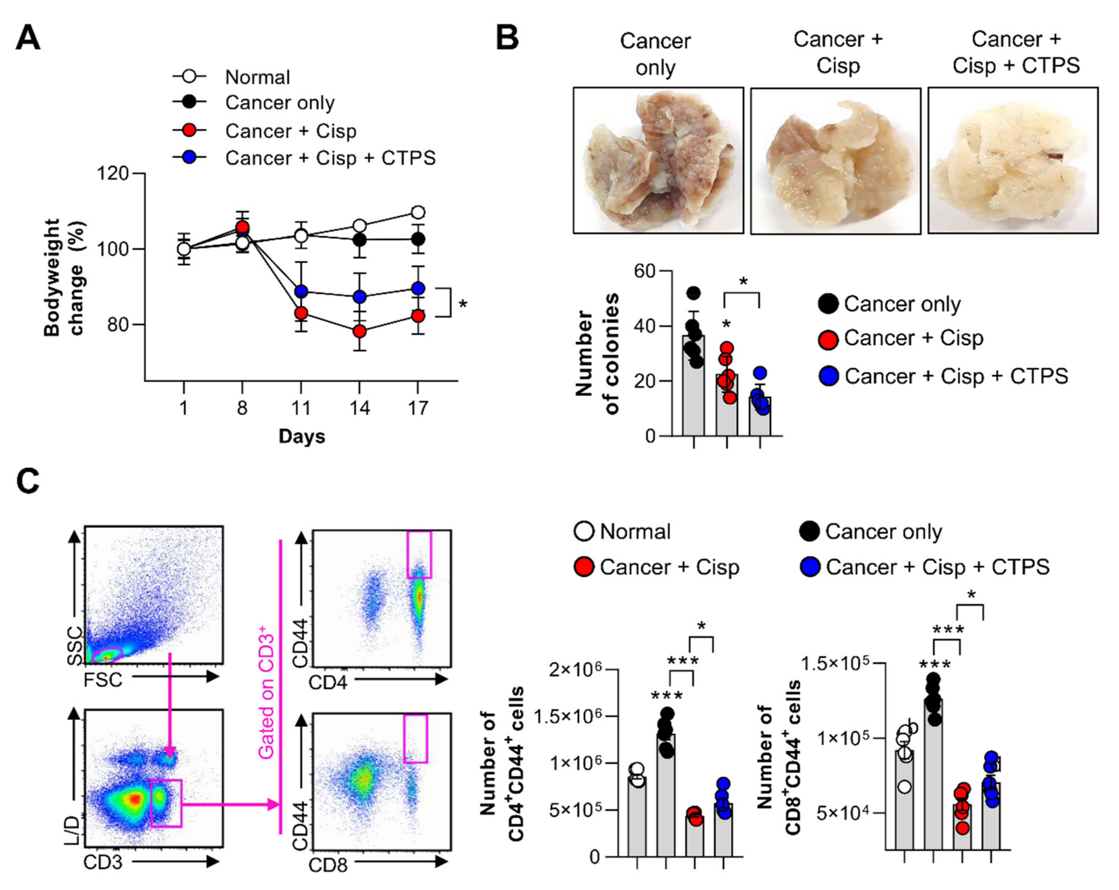 Ijms 22 07512 g006 Ijms 22 07512 g006