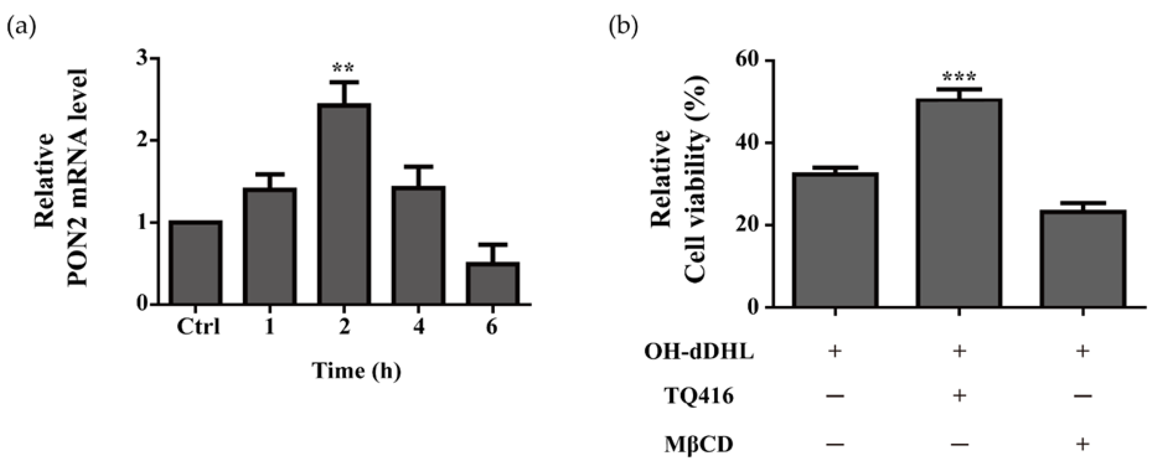 Ijms 22 07565 g006 Ijms 22 07565 g006